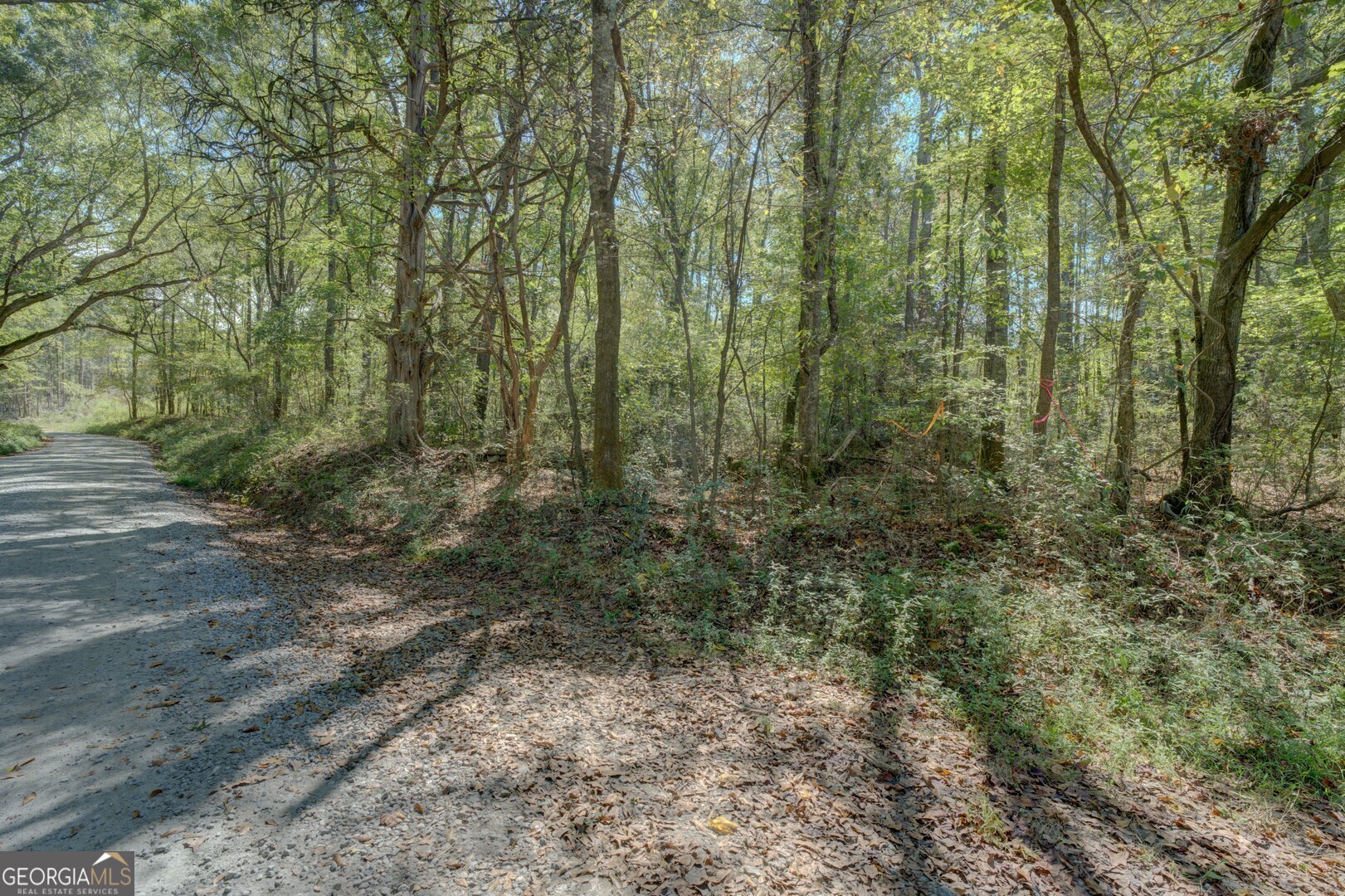 0 Rocky Creek Road Property Photo 10
