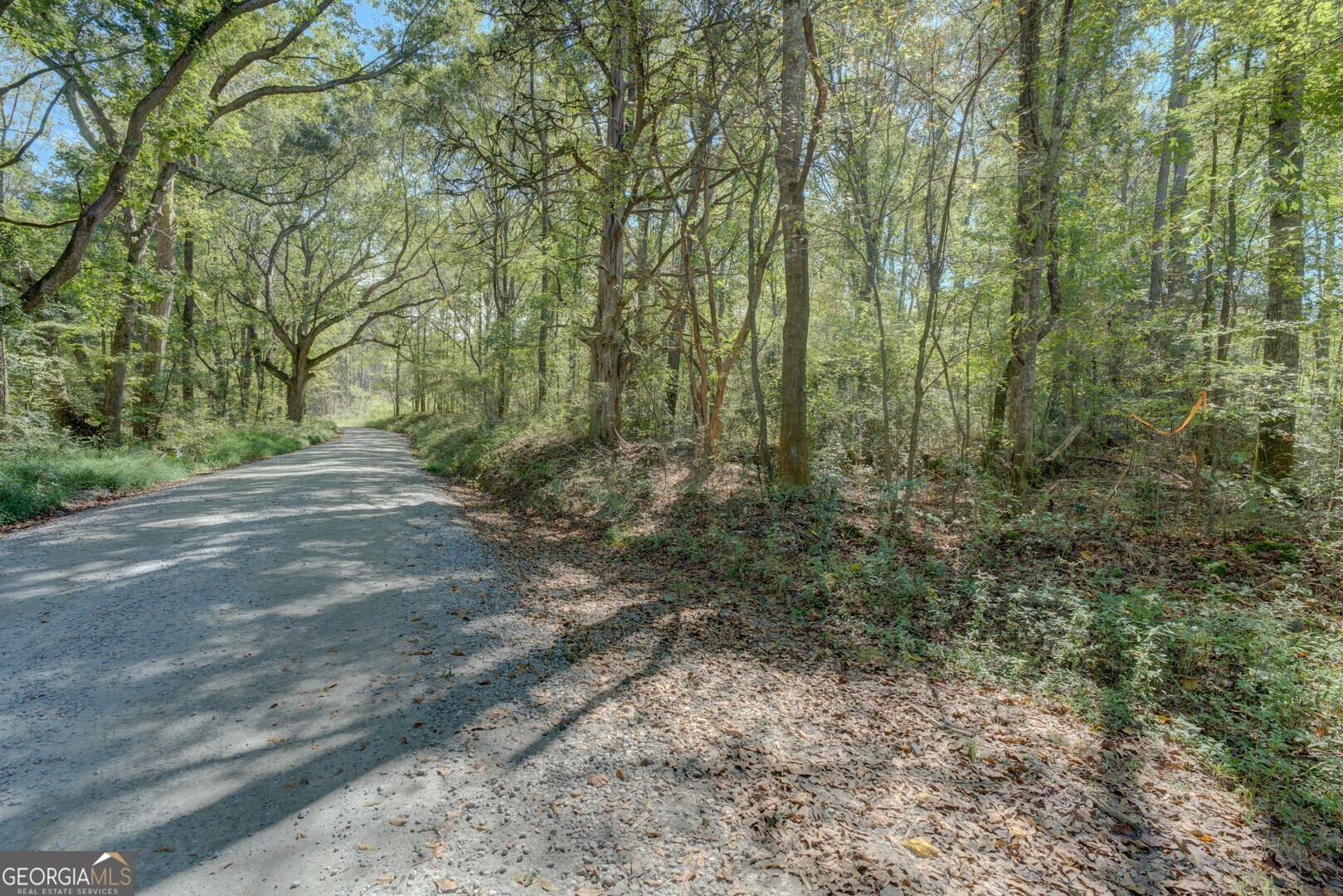 0 Rocky Creek Road Property Photo 11