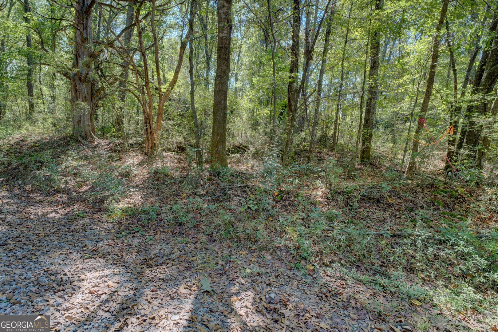 0 Rocky Creek Road Property Photo 12