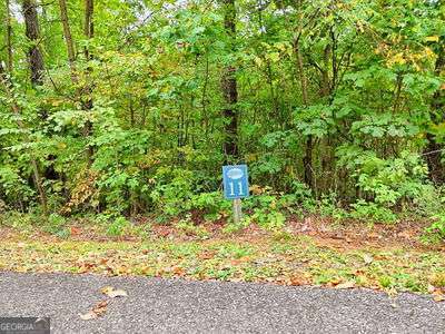 LOT 11 Skyview Drive Property Photo 1