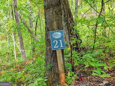 LOT 21 Skyview Overlook Property Photo 1