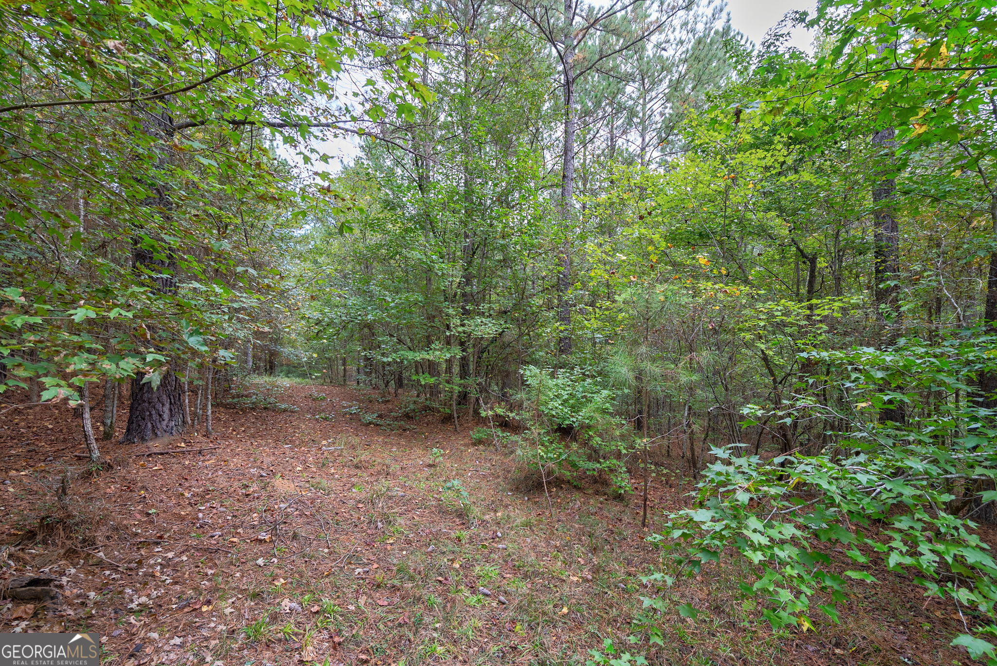 0 Lower Wirebridge Road Property Photo 22