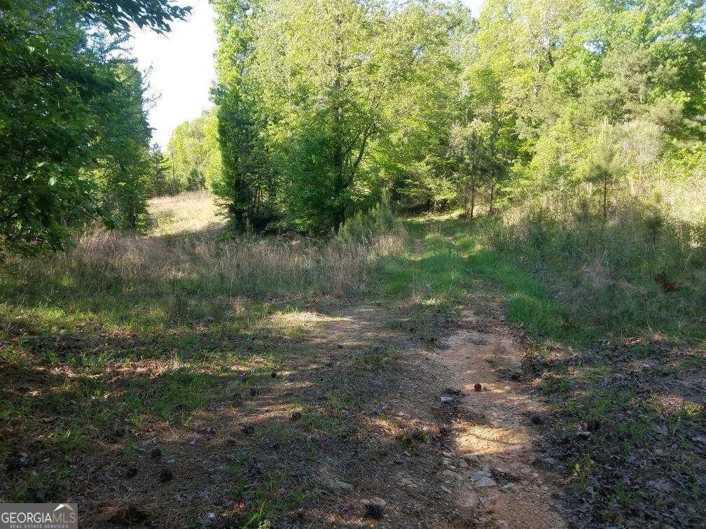 0 Everett Mtn Road Property Photo 1