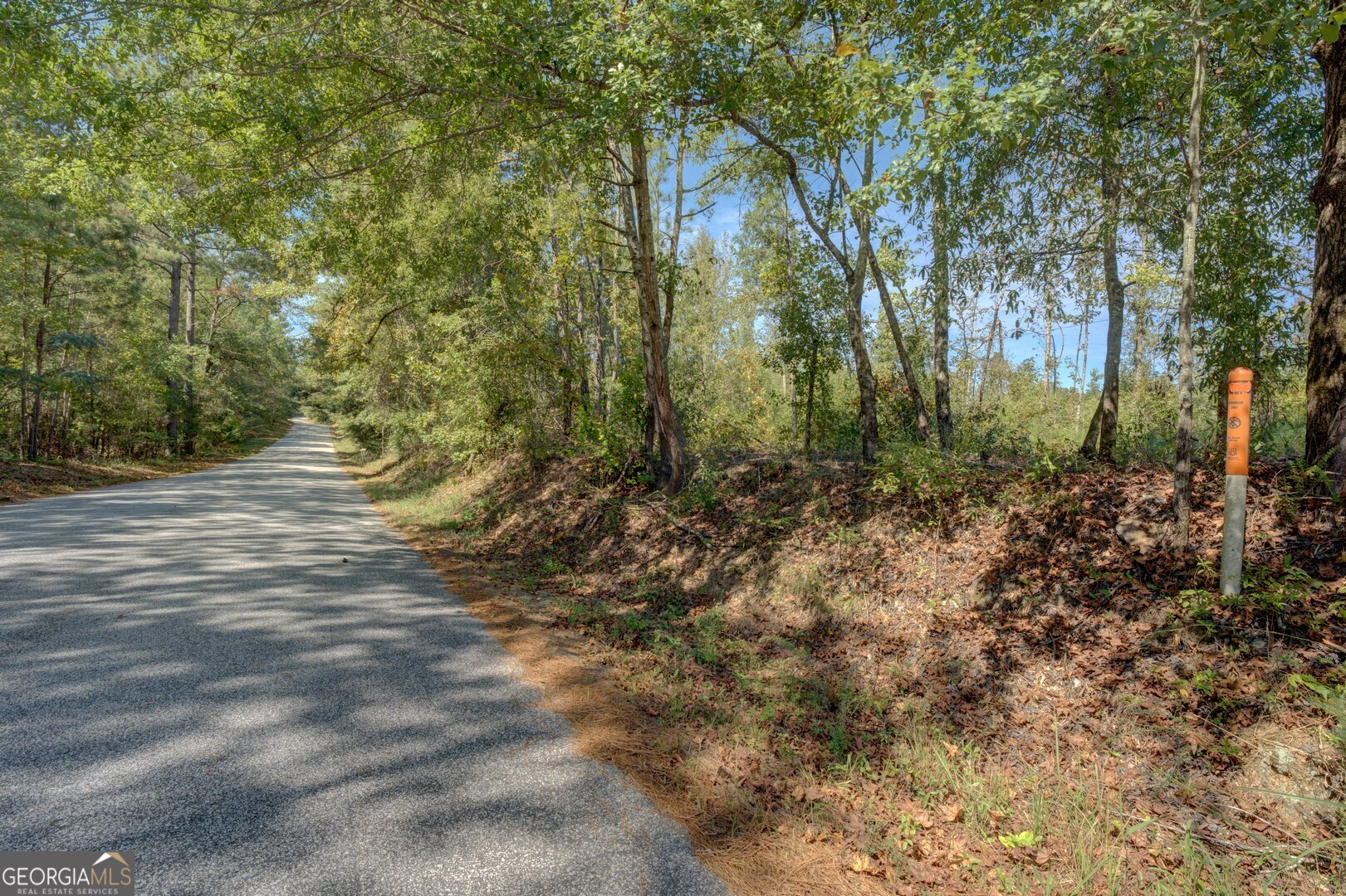 0 Hodges Farm Road Property Photo 4