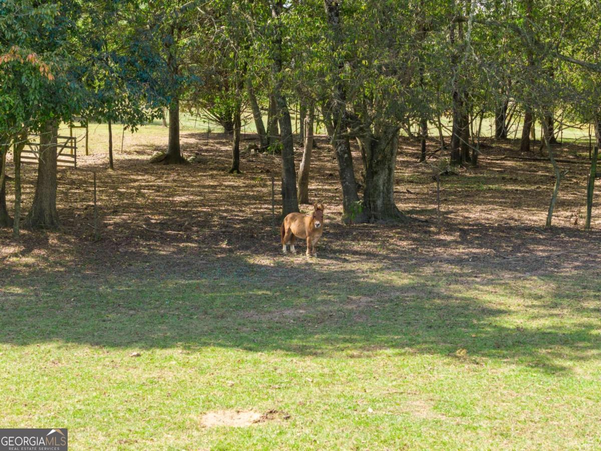 241 Bill Watkins Road Property Photo 10