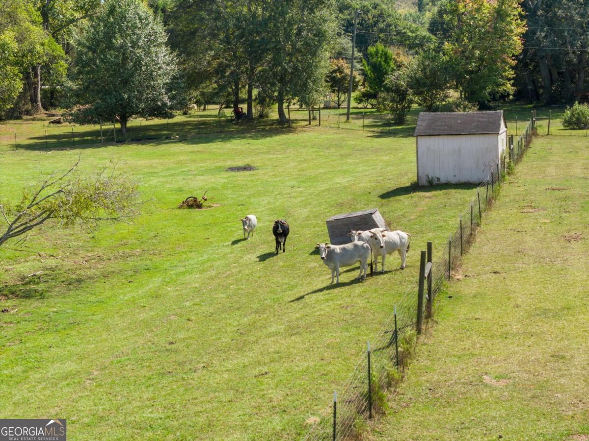 241 Bill Watkins Road Property Photo 15
