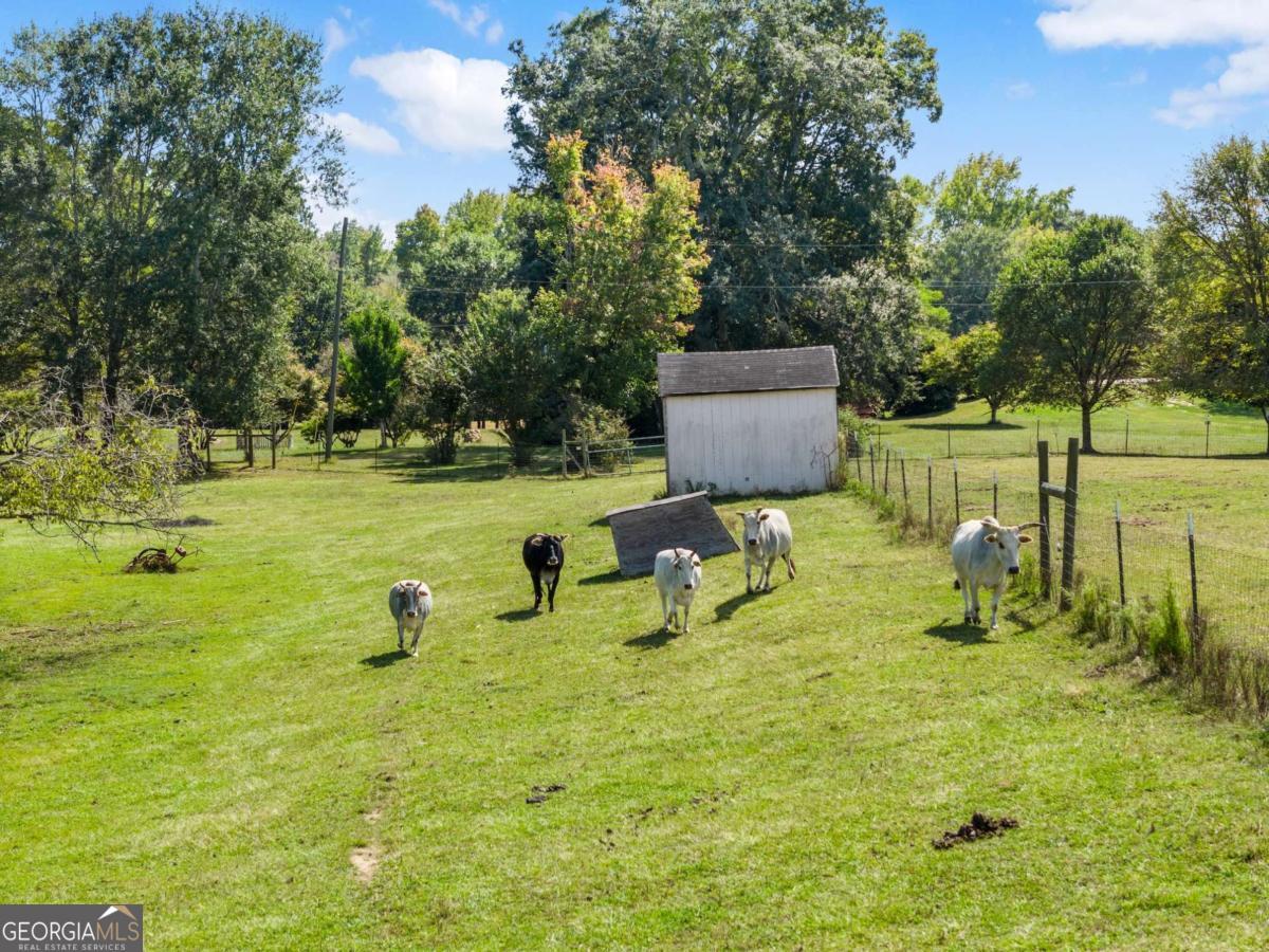 241 Bill Watkins Road Property Photo 16