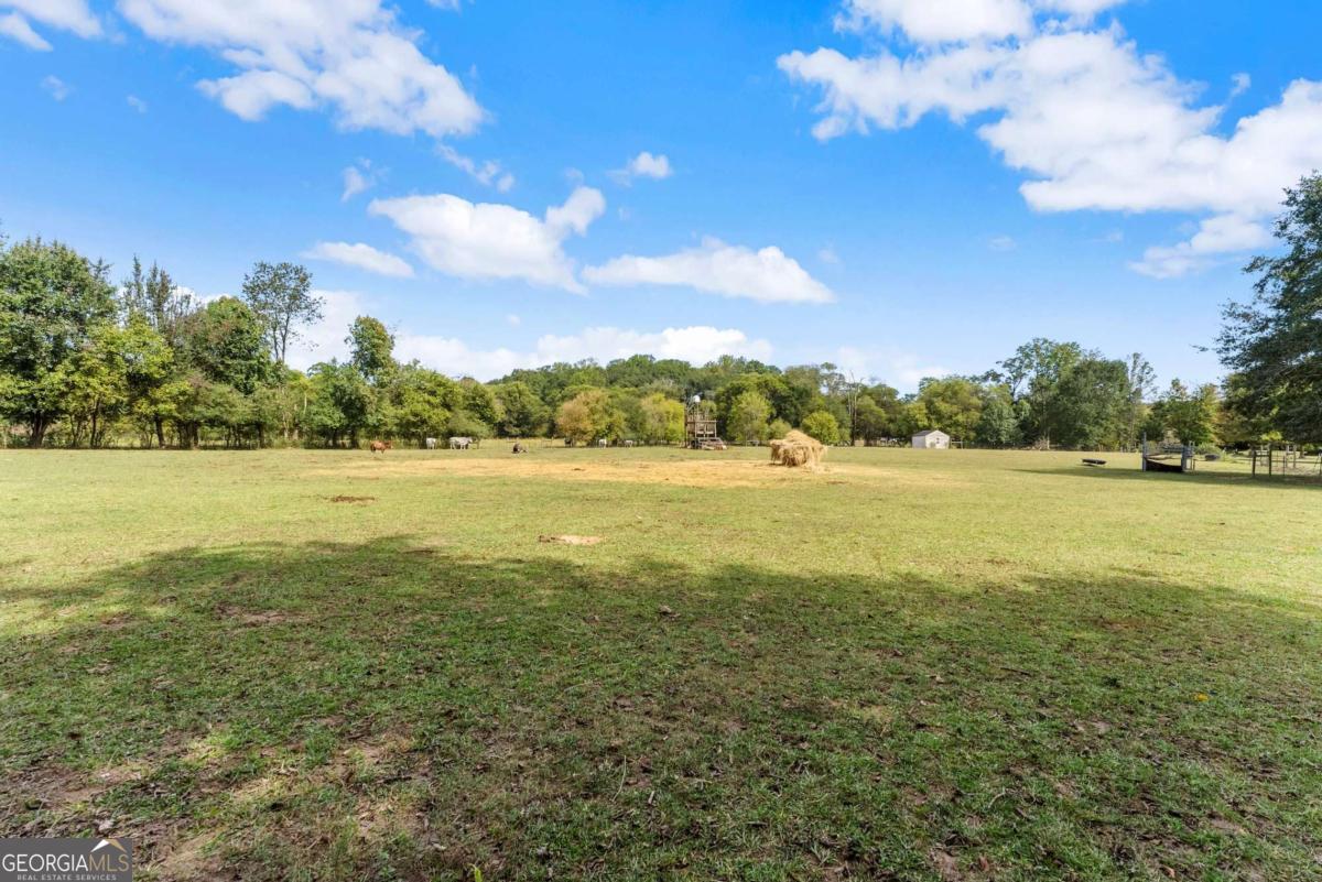 241 Bill Watkins Road Property Photo 28