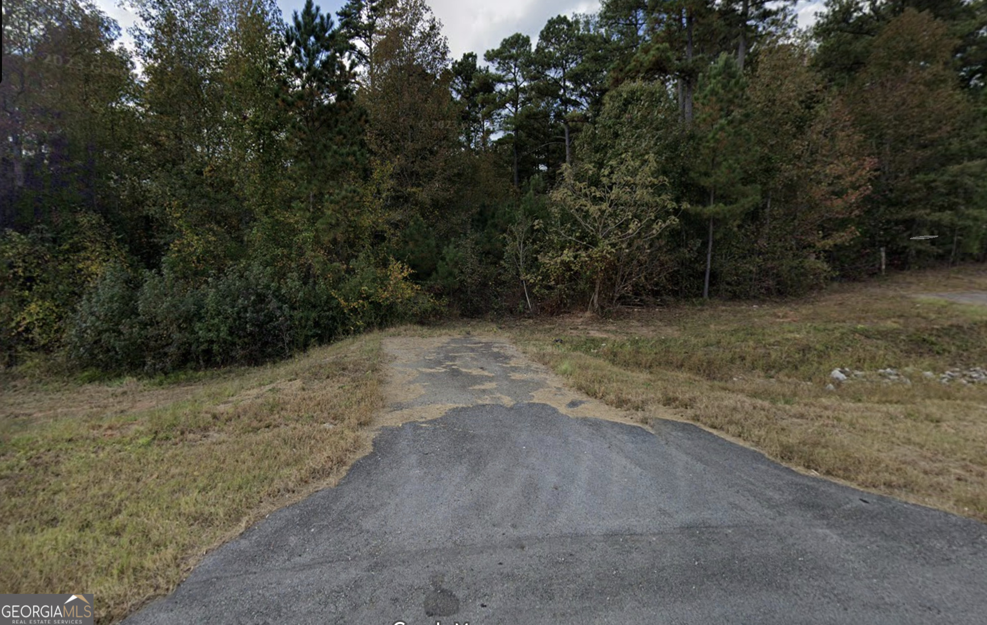 0 Us Hwy 441 & White Hill School Road Property Photo 12