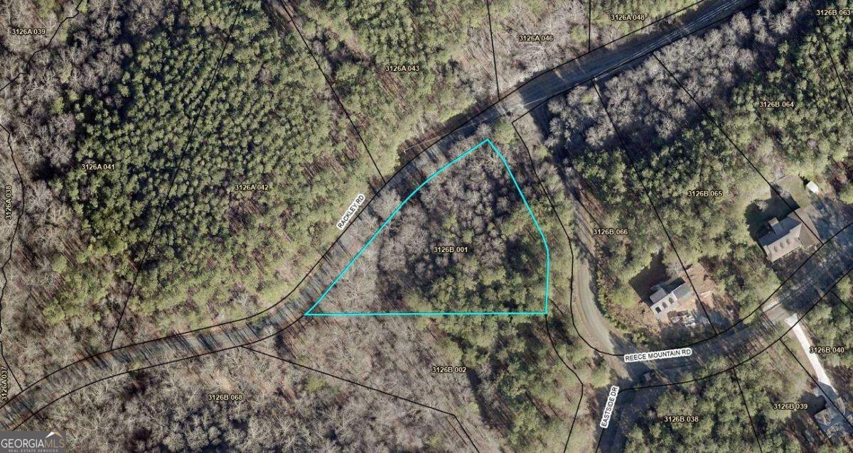 0 Reece Mountain Road Property Photo 1