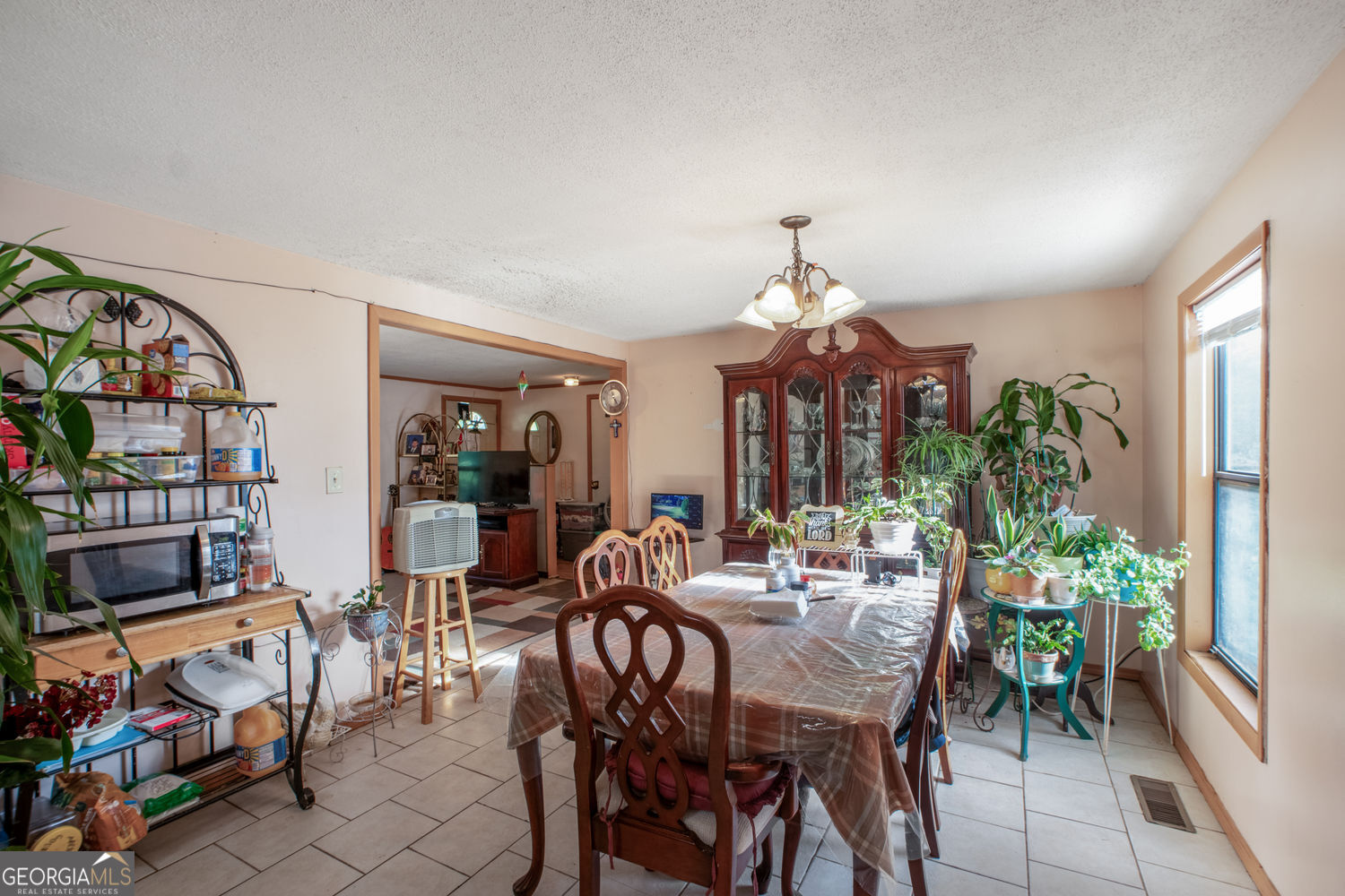5570 Bold Springs Road Property Photo 22