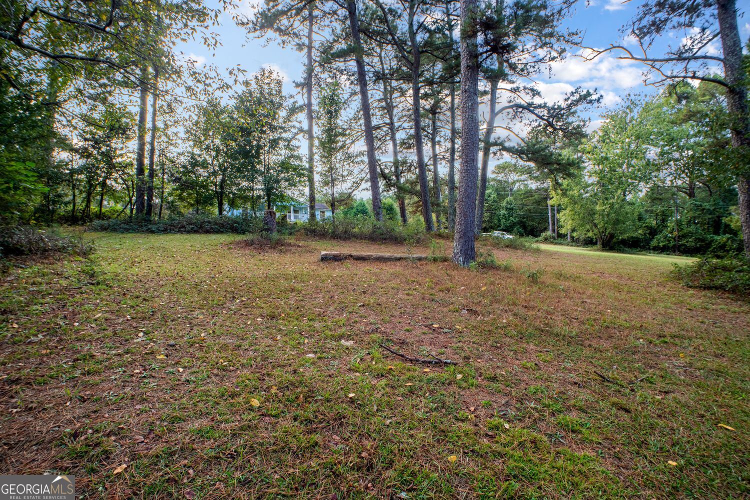 5570 Bold Springs Road Property Photo 59