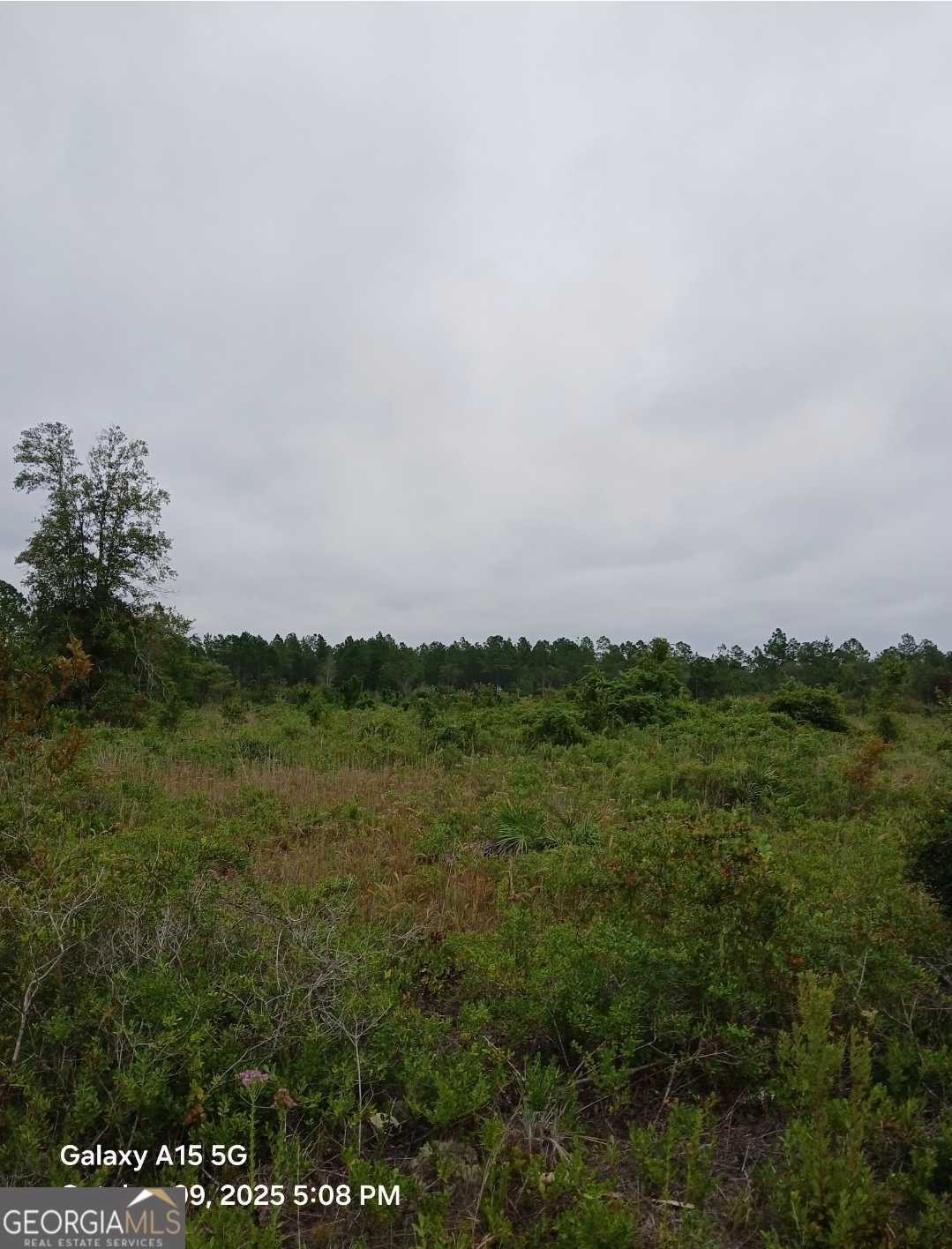 0(LOT 2) Dogwood Lane LOT 2