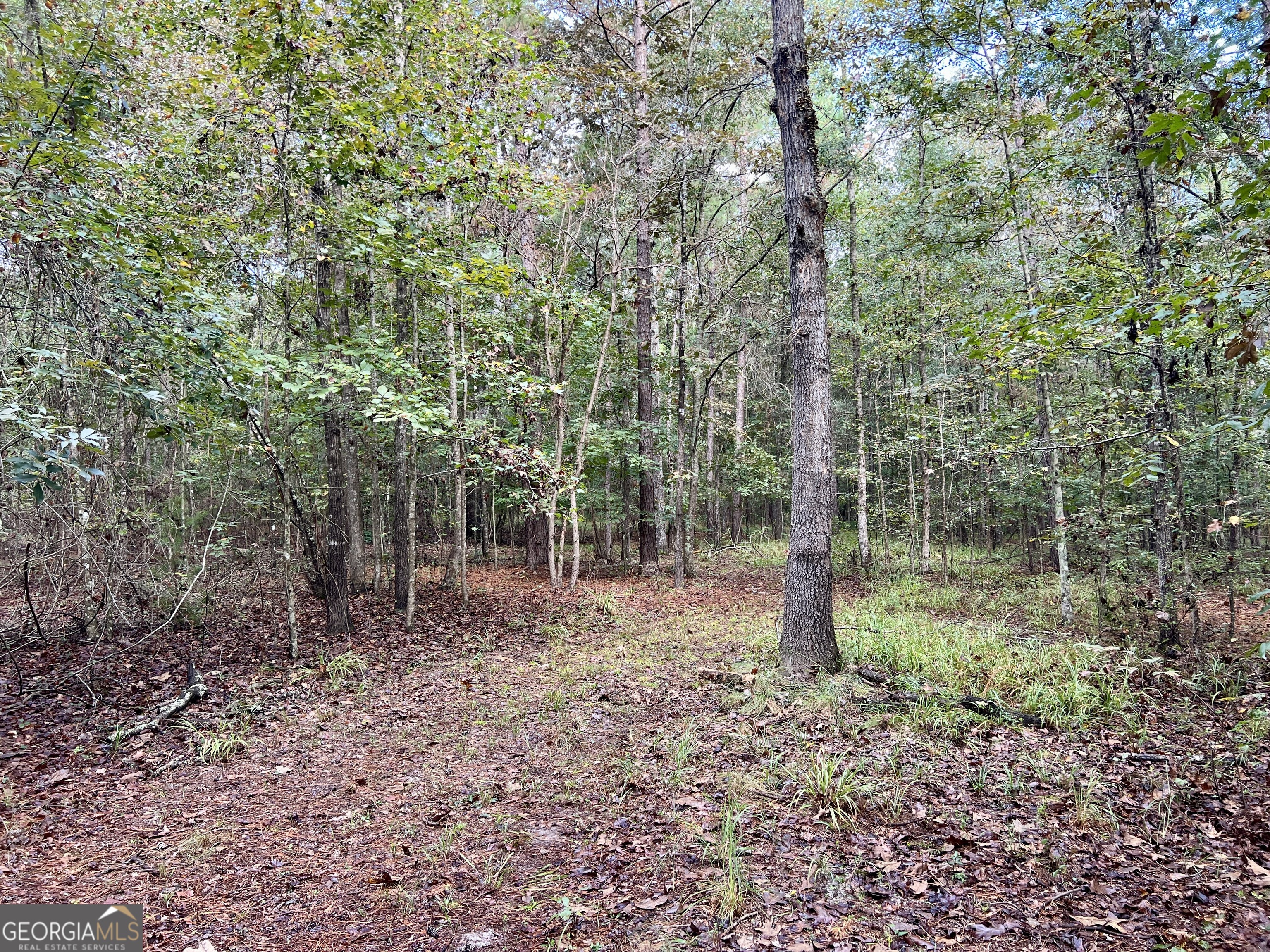 136 Pope Road Property Photo 44