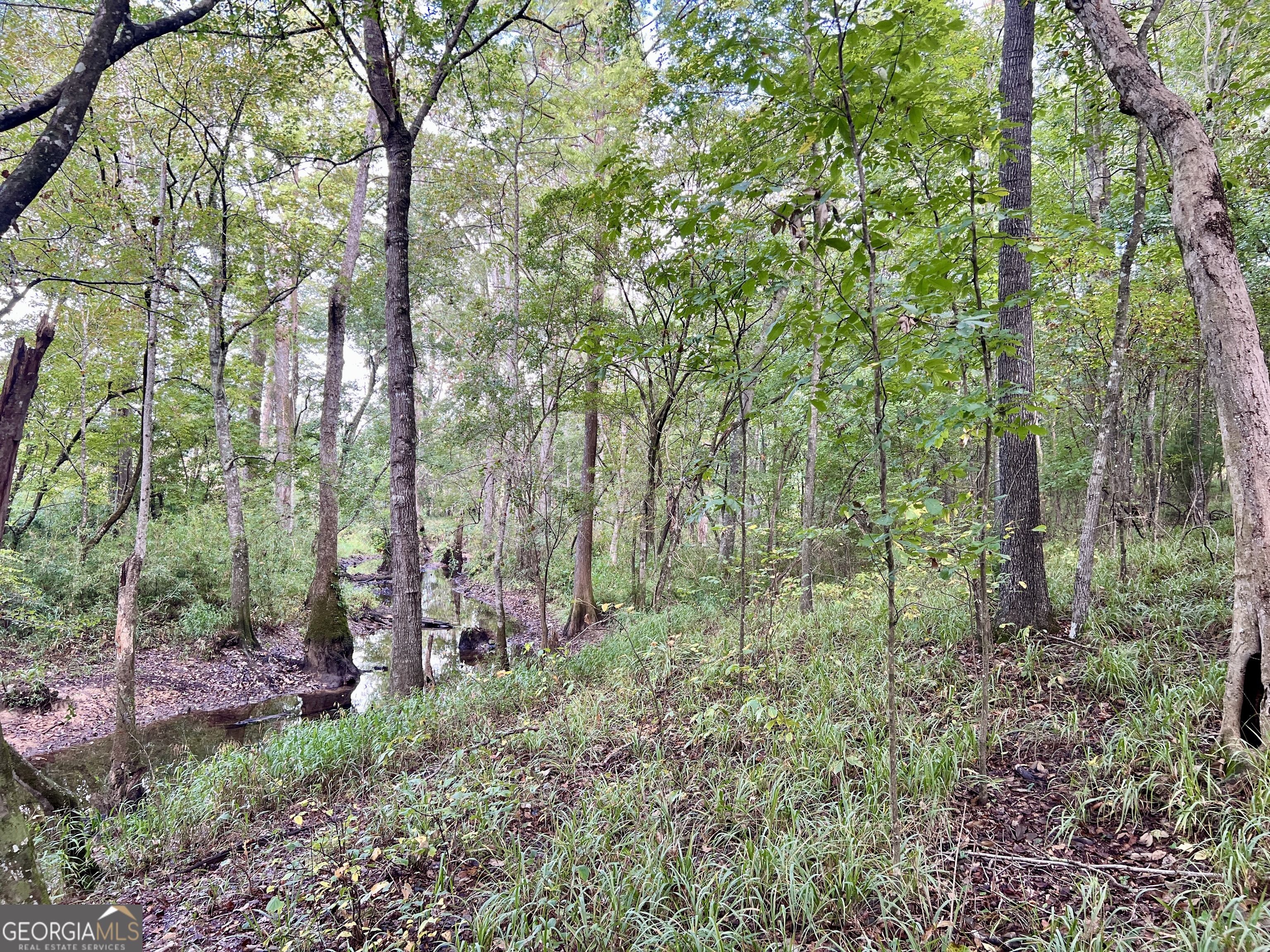 136 Pope Road Property Photo 47