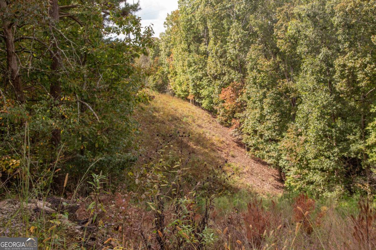 3831 Skyline Drive Property Photo 2