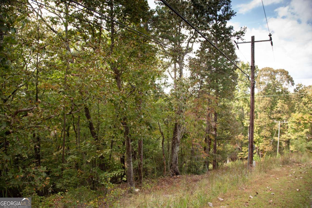 3831 Skyline Drive Property Photo 3