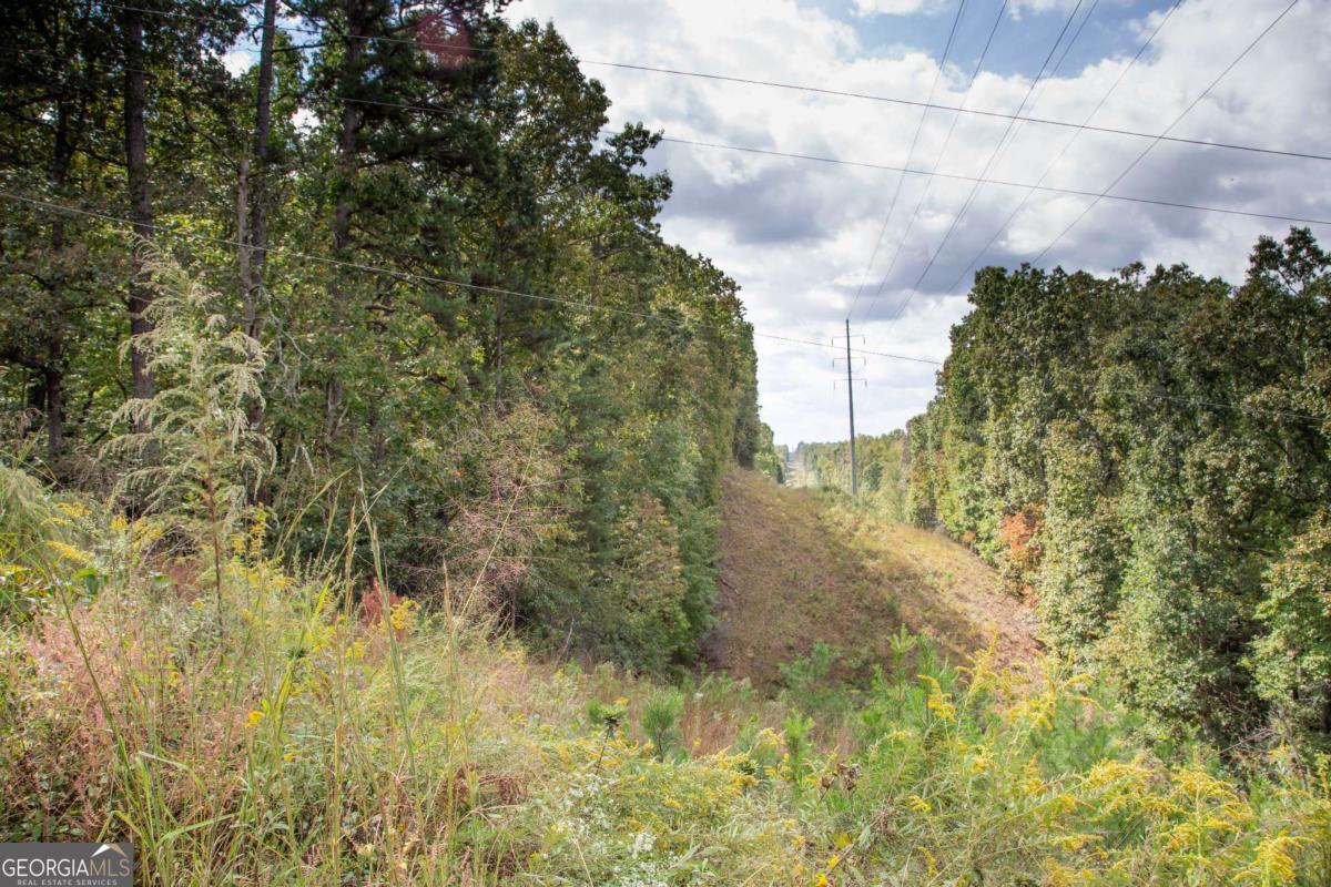 3831 Skyline Drive Property Photo 4