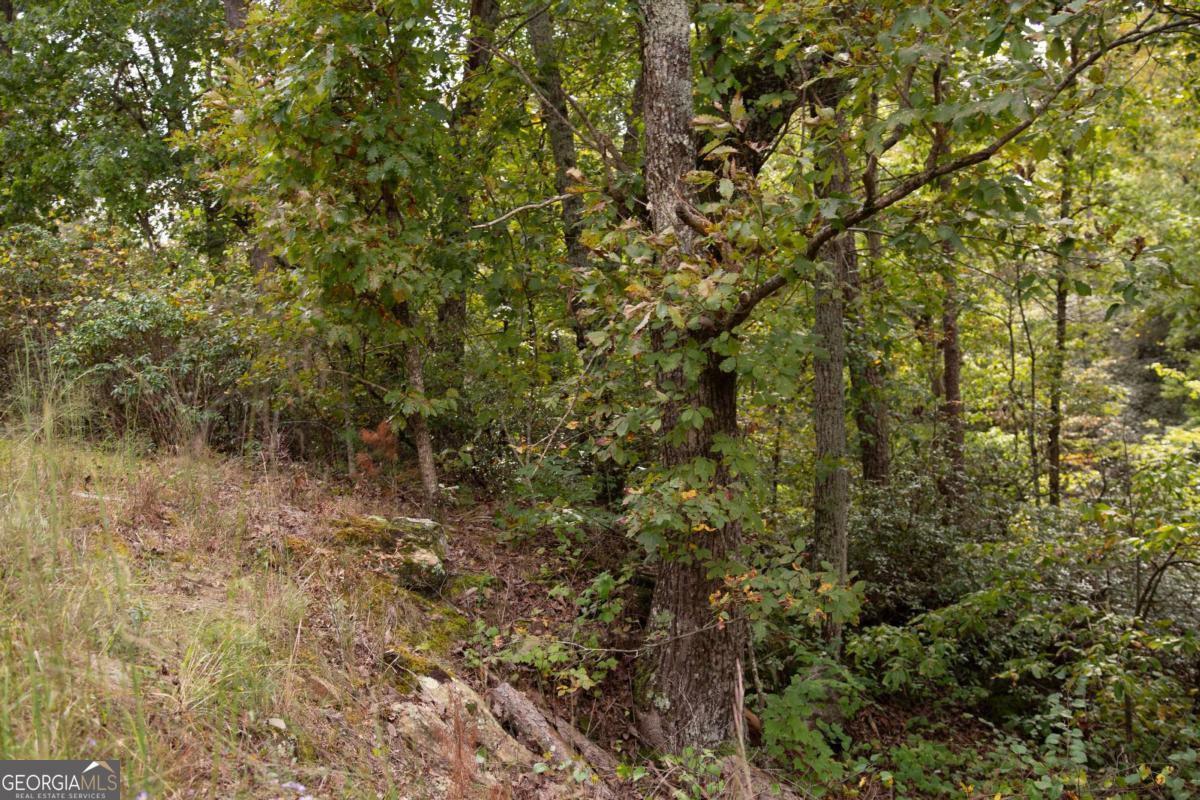 3831 Skyline Drive Property Photo 5