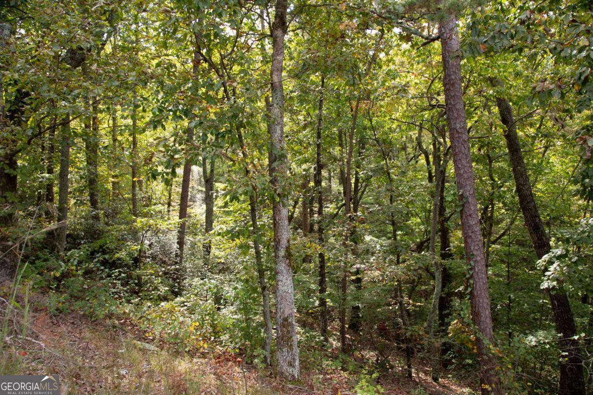 3831 Skyline Drive Property Photo 6