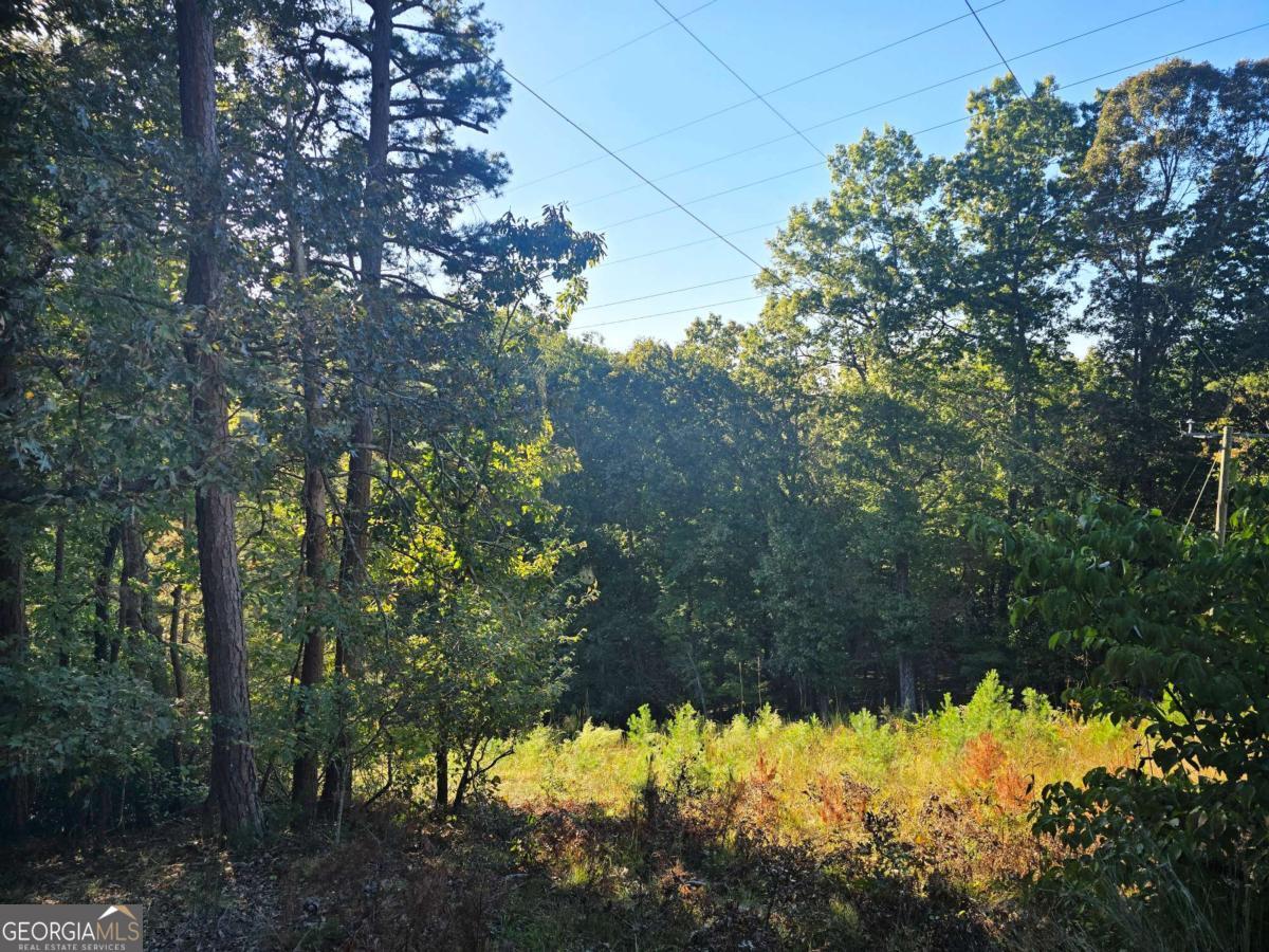 3831 Skyline Drive Property Photo 7