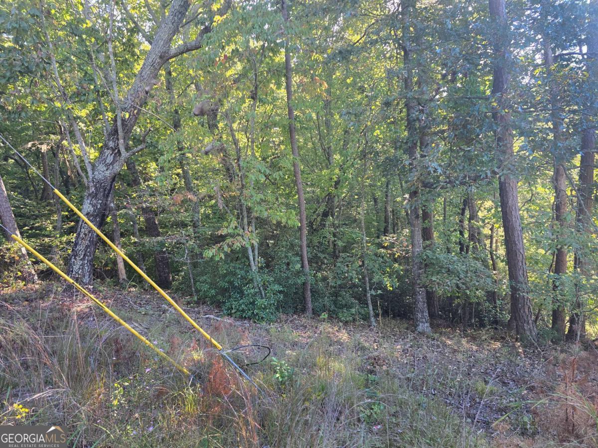3831 Skyline Drive Property Photo 8