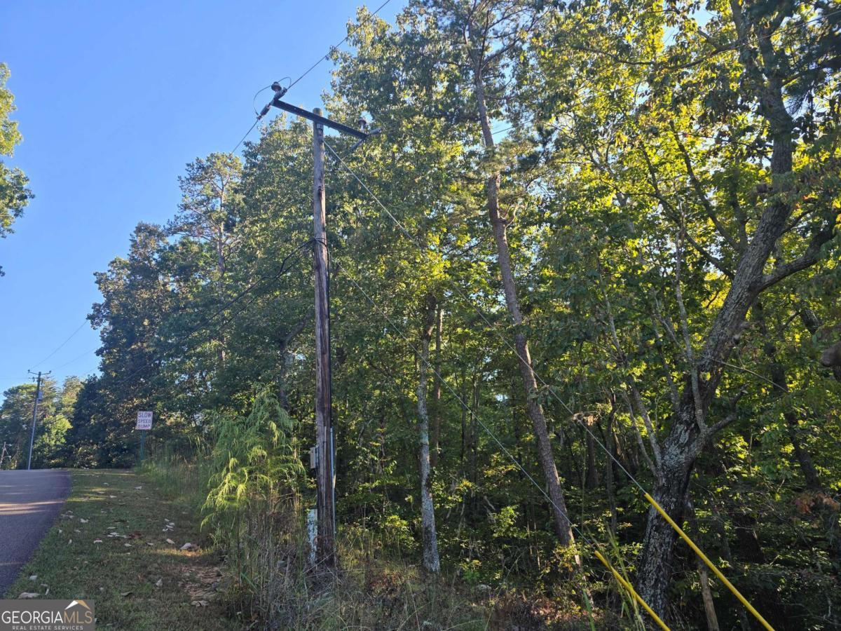 3831 Skyline Drive Property Photo 9
