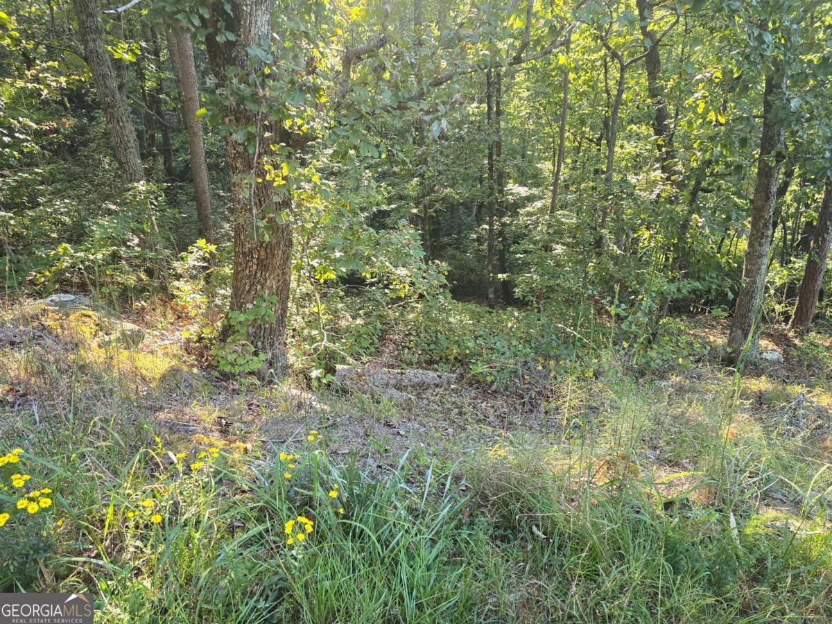 3831 Skyline Drive Property Photo 10