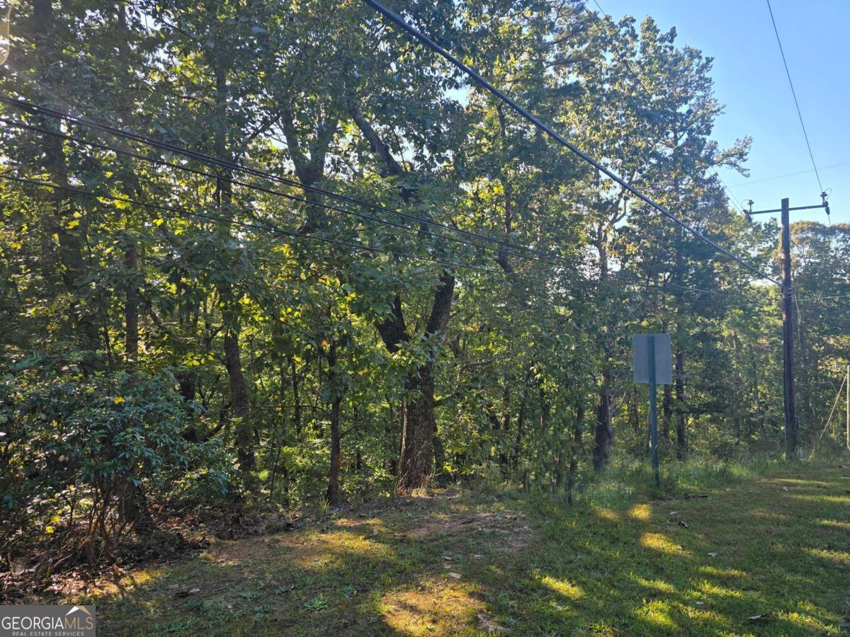 3831 Skyline Drive Property Photo 11