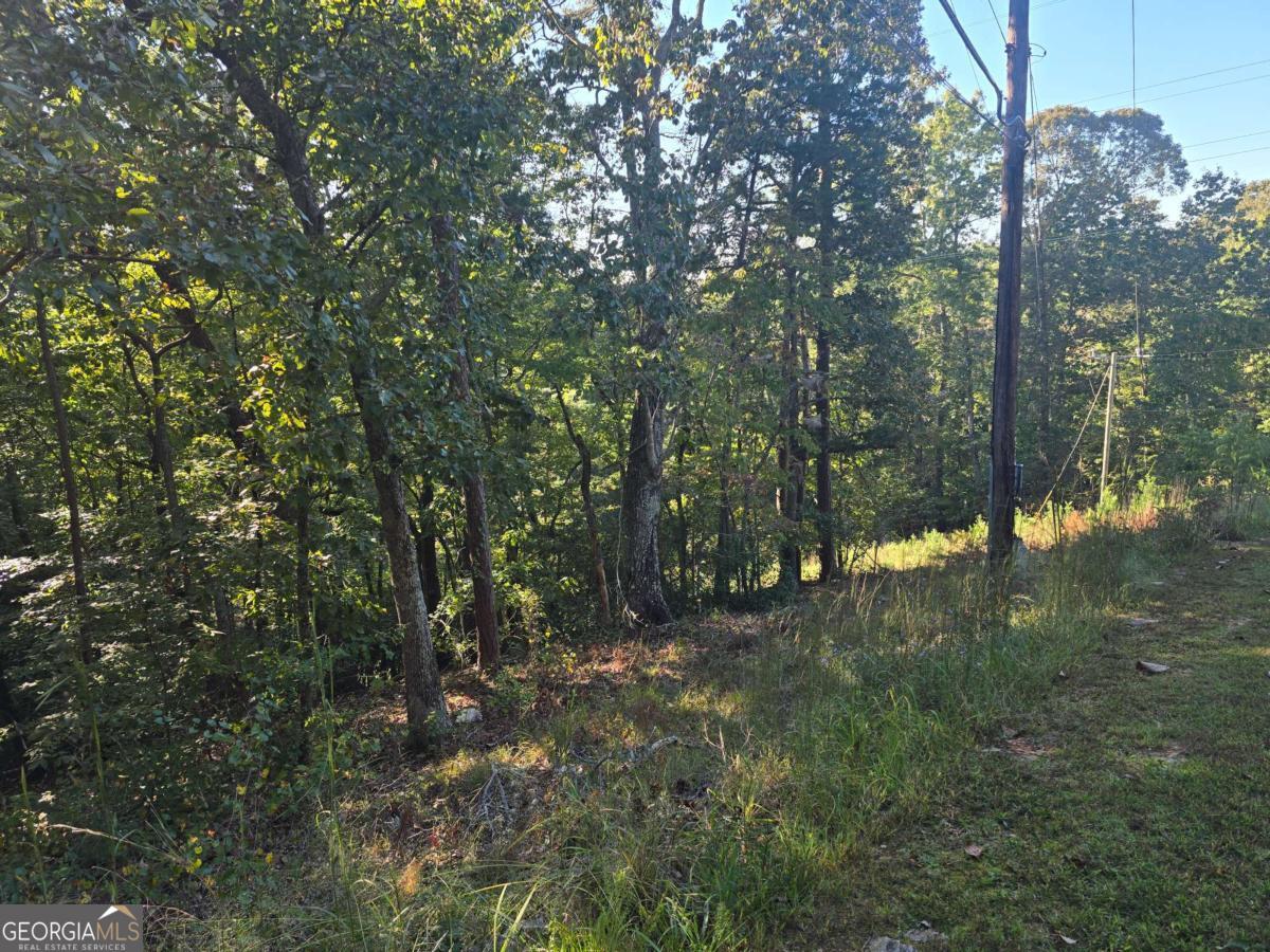 3831 Skyline Drive Property Photo 19