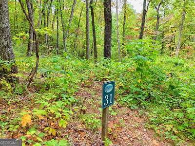 LOT 31 Skyview Drive Property Photo 1