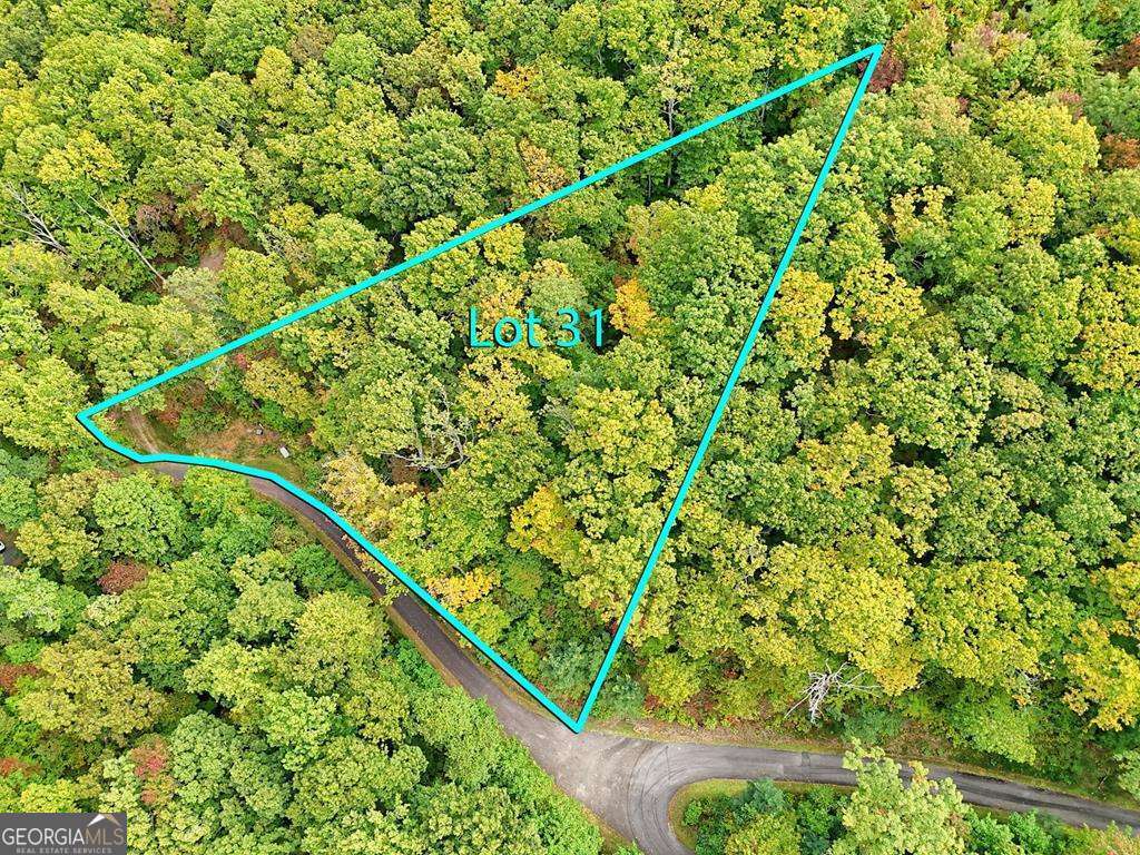 Lot 31 Skyview Drive Property Photo 8