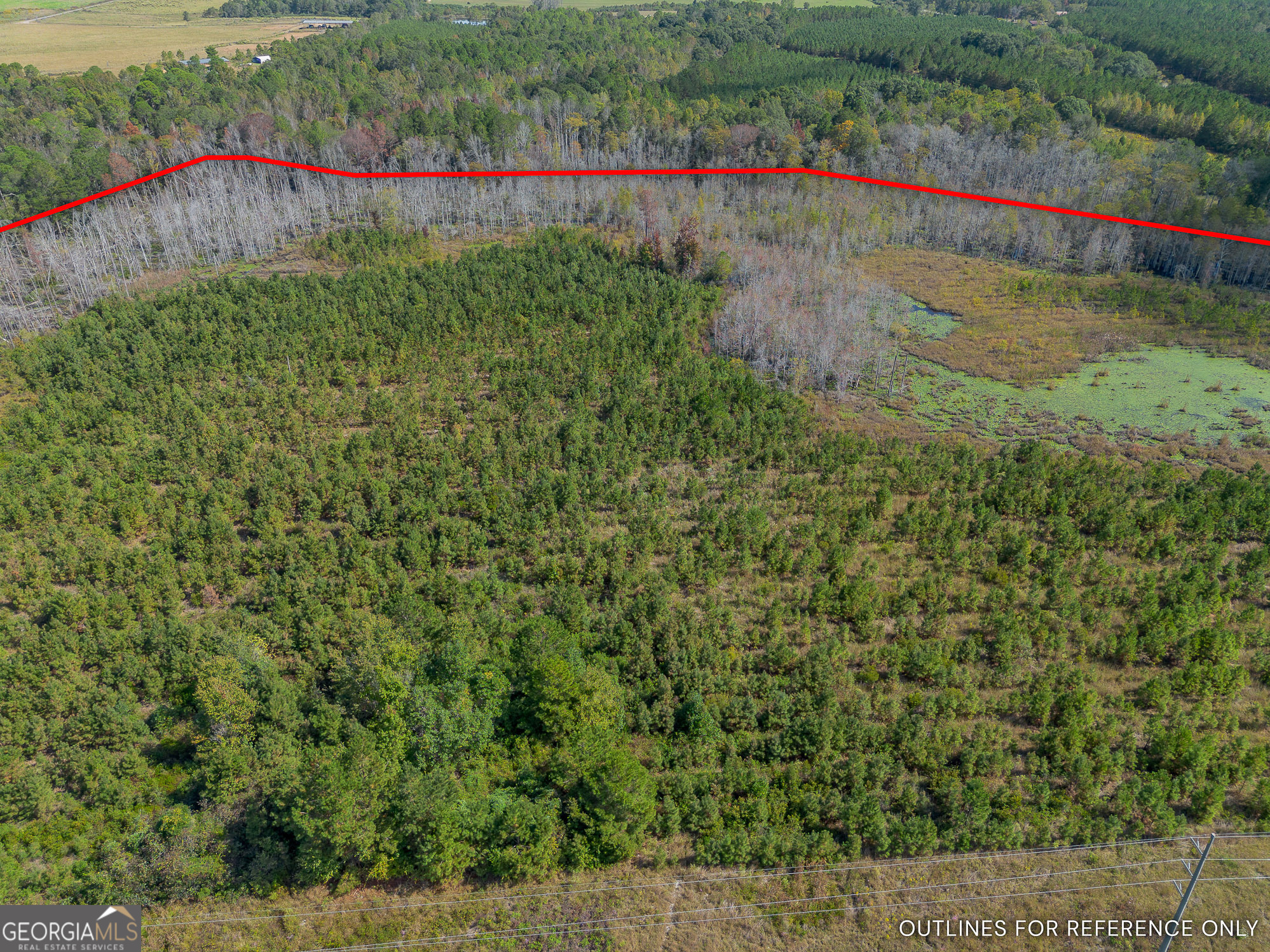 Tract 1 Kinnett Road Property Photo 5