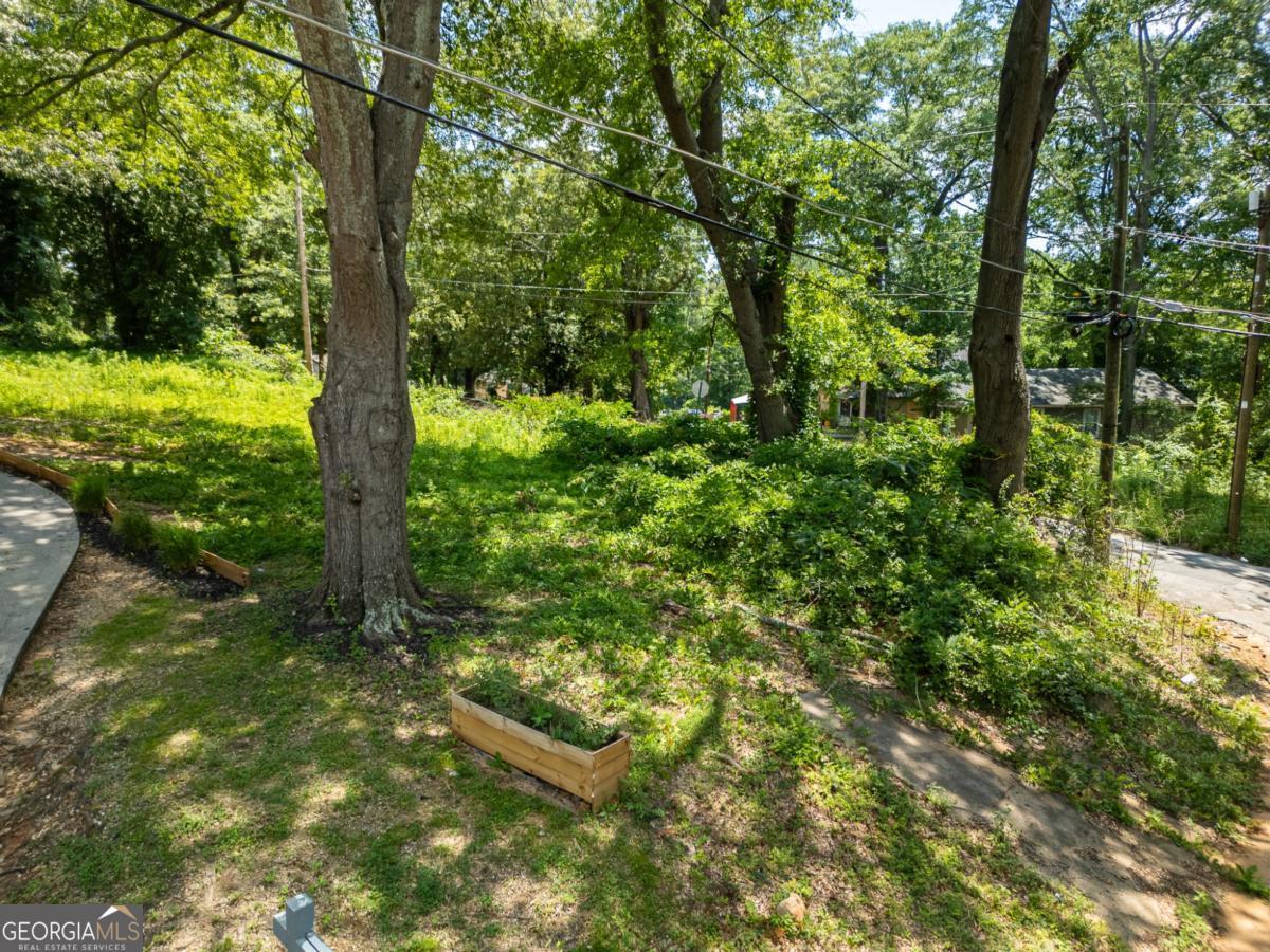 1981 Lois Place Property Photo 8