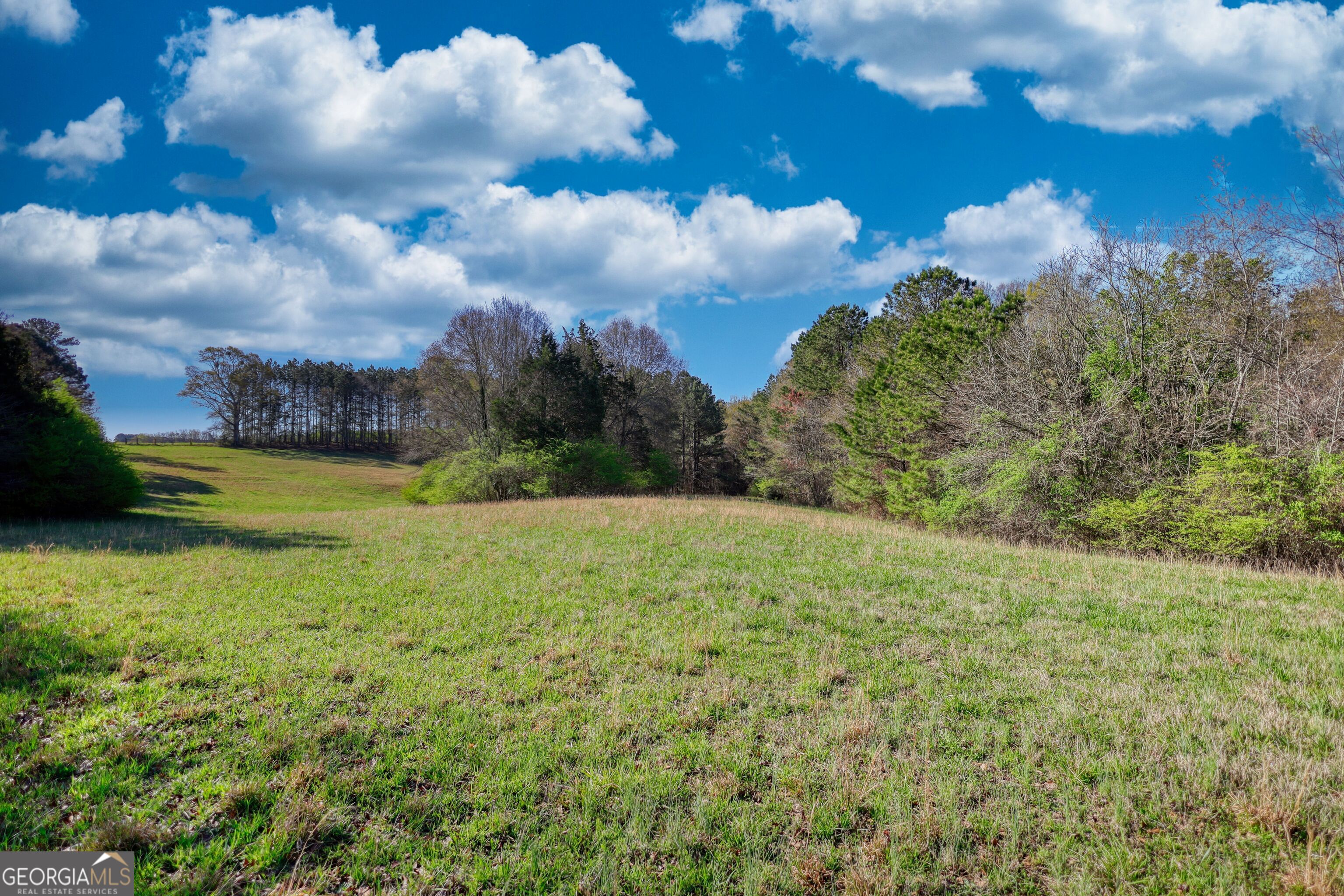 610 Loth Wages Road Property Photo 43