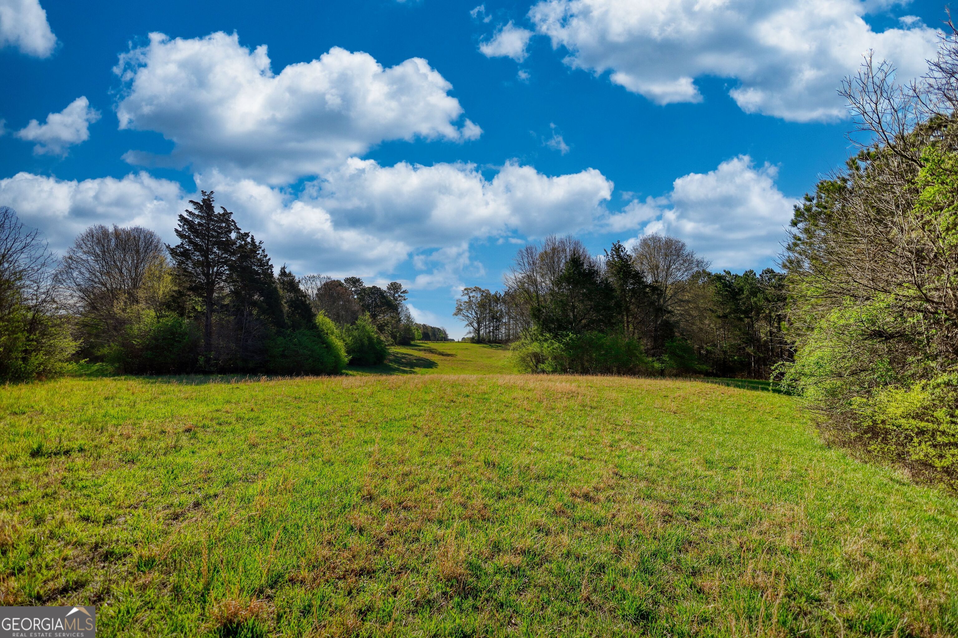 610 Loth Wages Road Property Photo 44