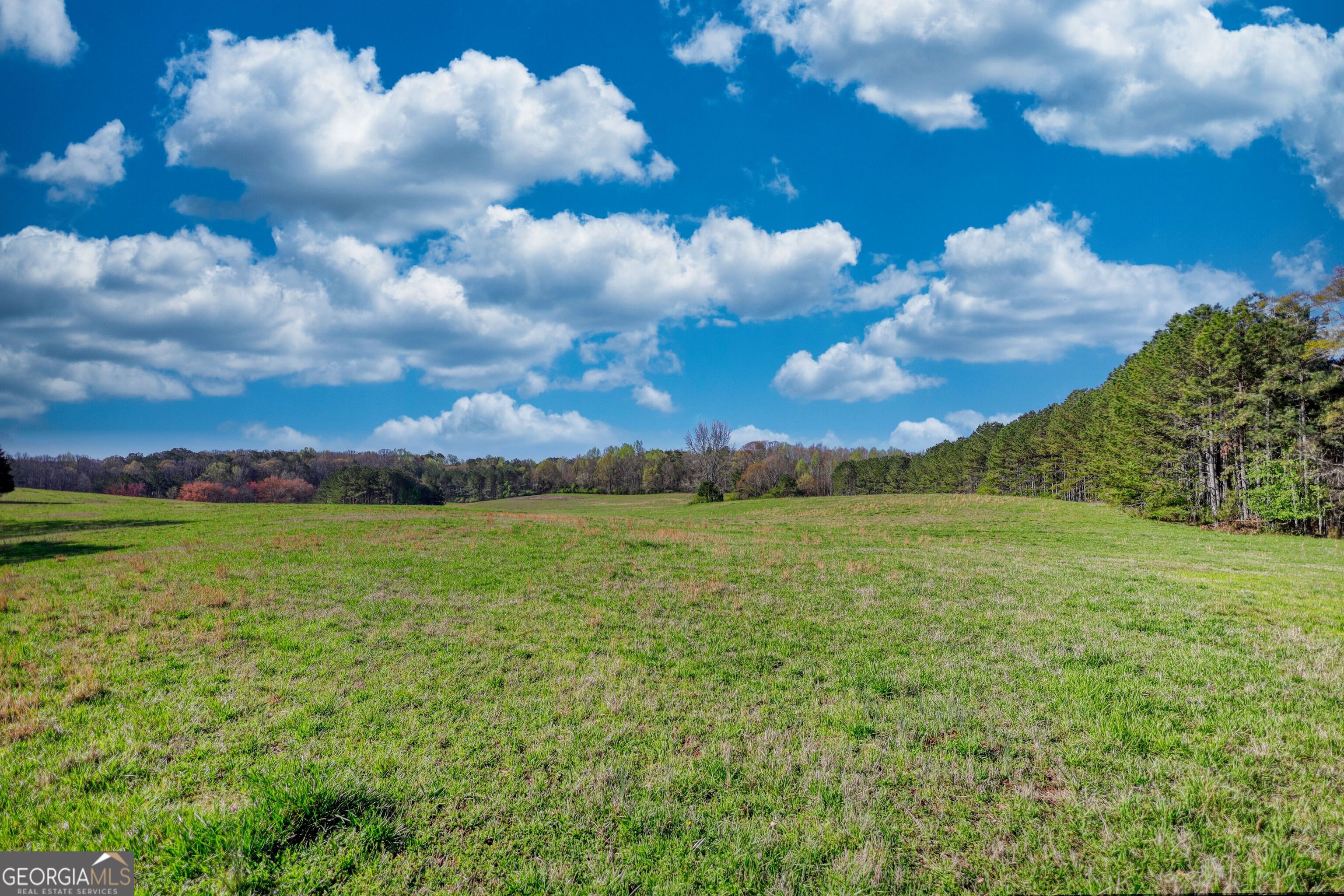 610 Loth Wages Road Property Photo 46