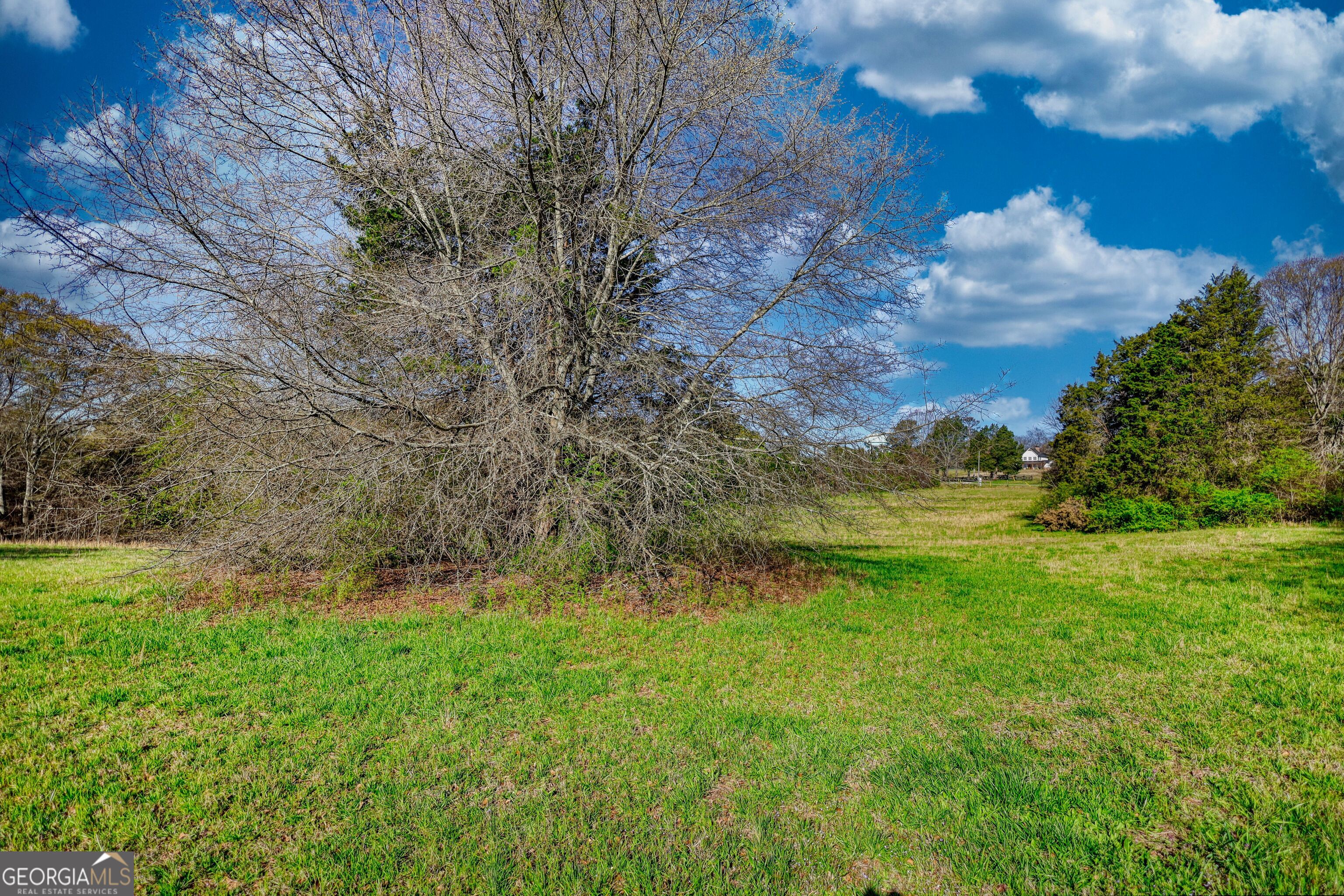 610 Loth Wages Road Property Photo 49