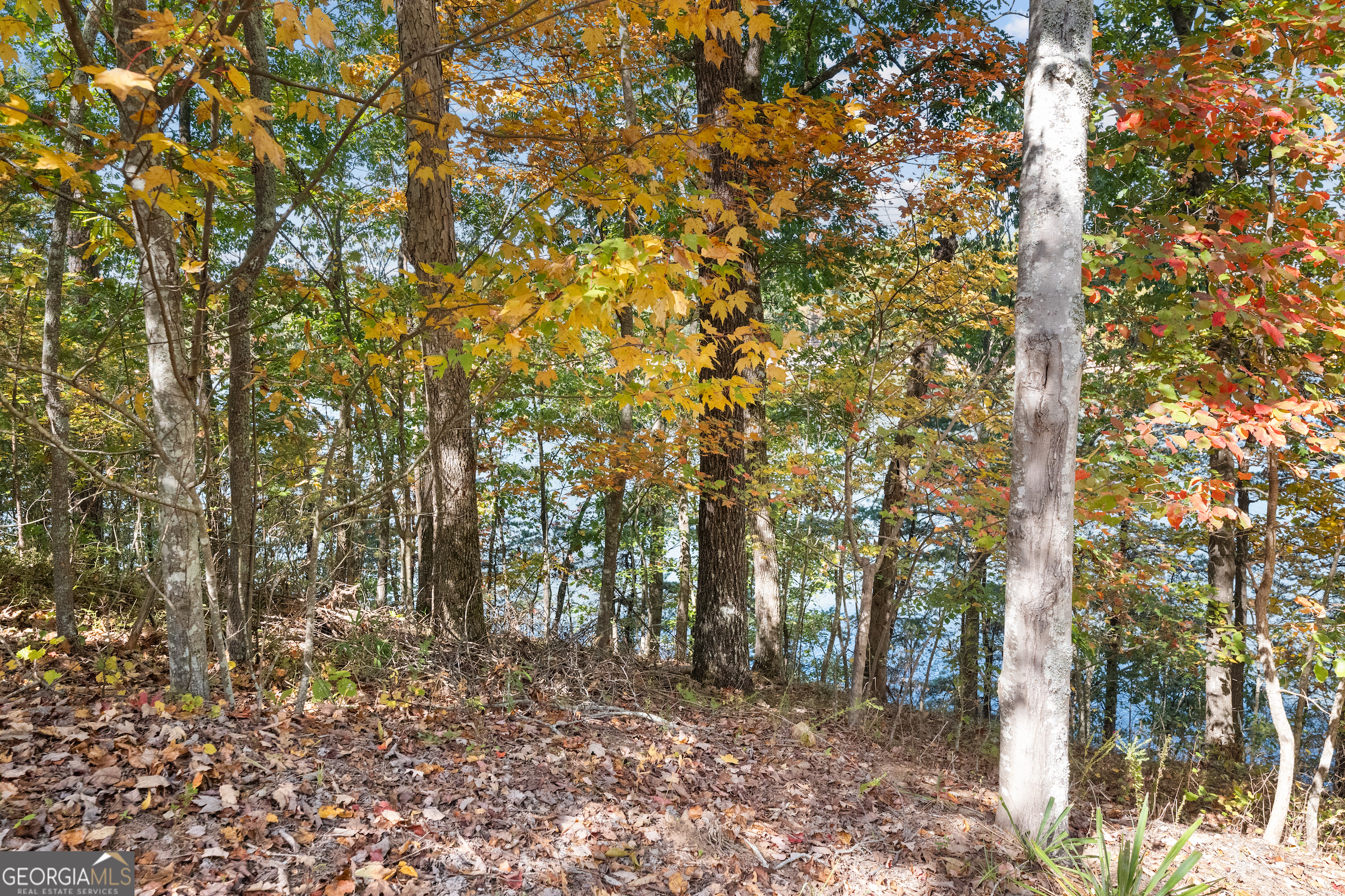 3312 Winterberry Court Property Photo 20