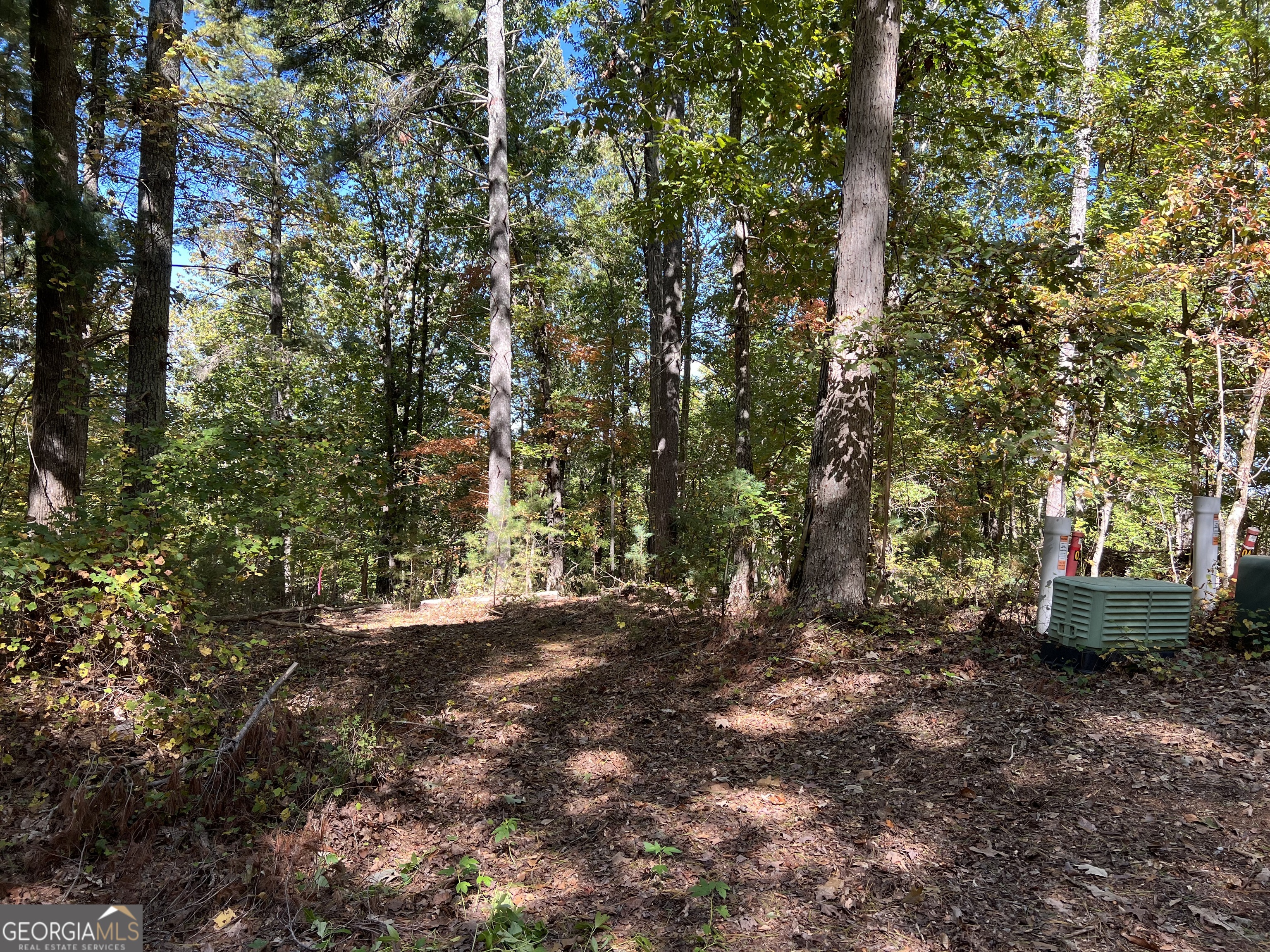 3312 Winterberry Court Property Photo 23