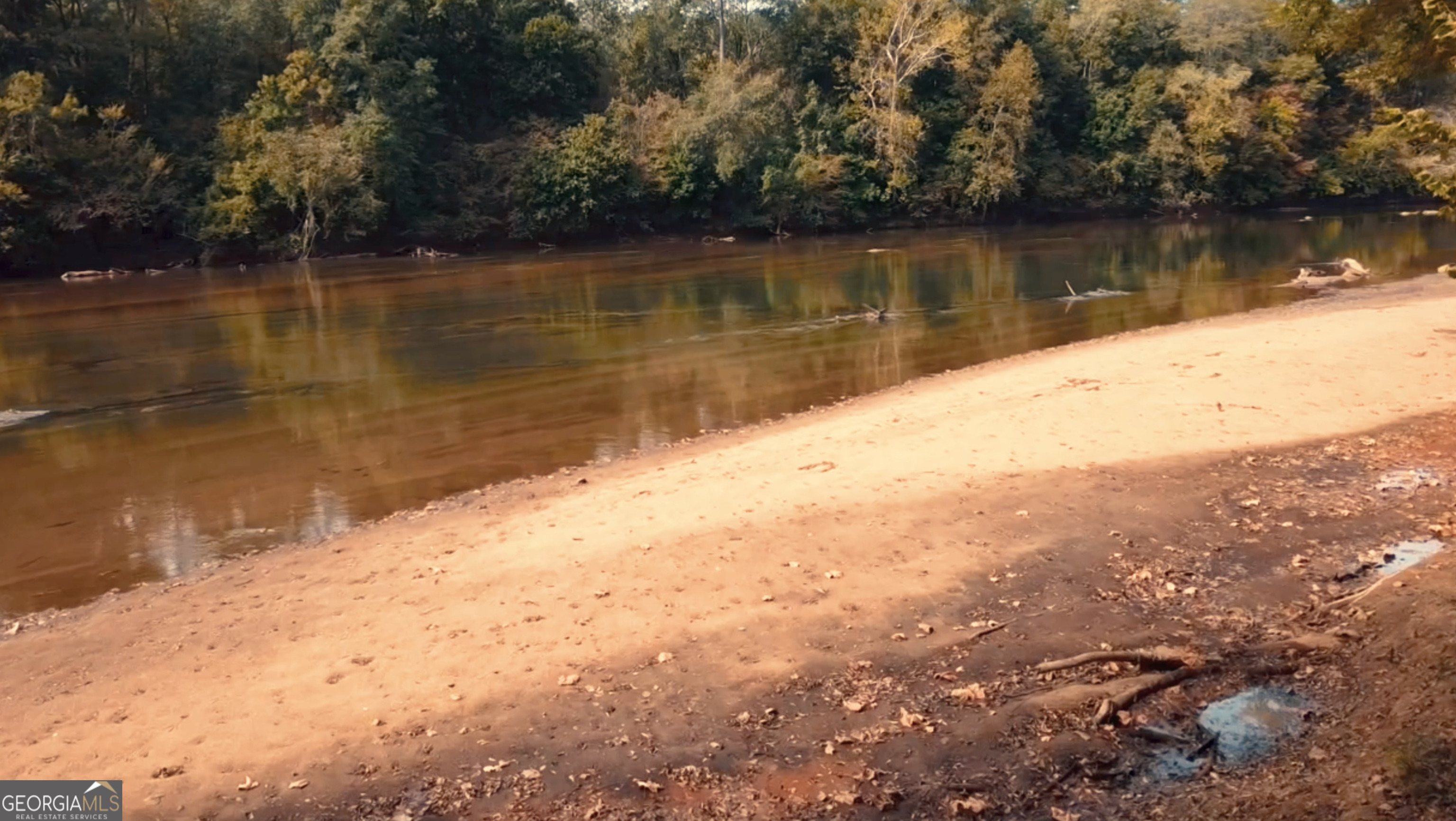 184 Tumbling Shoals Drive Property Photo 5