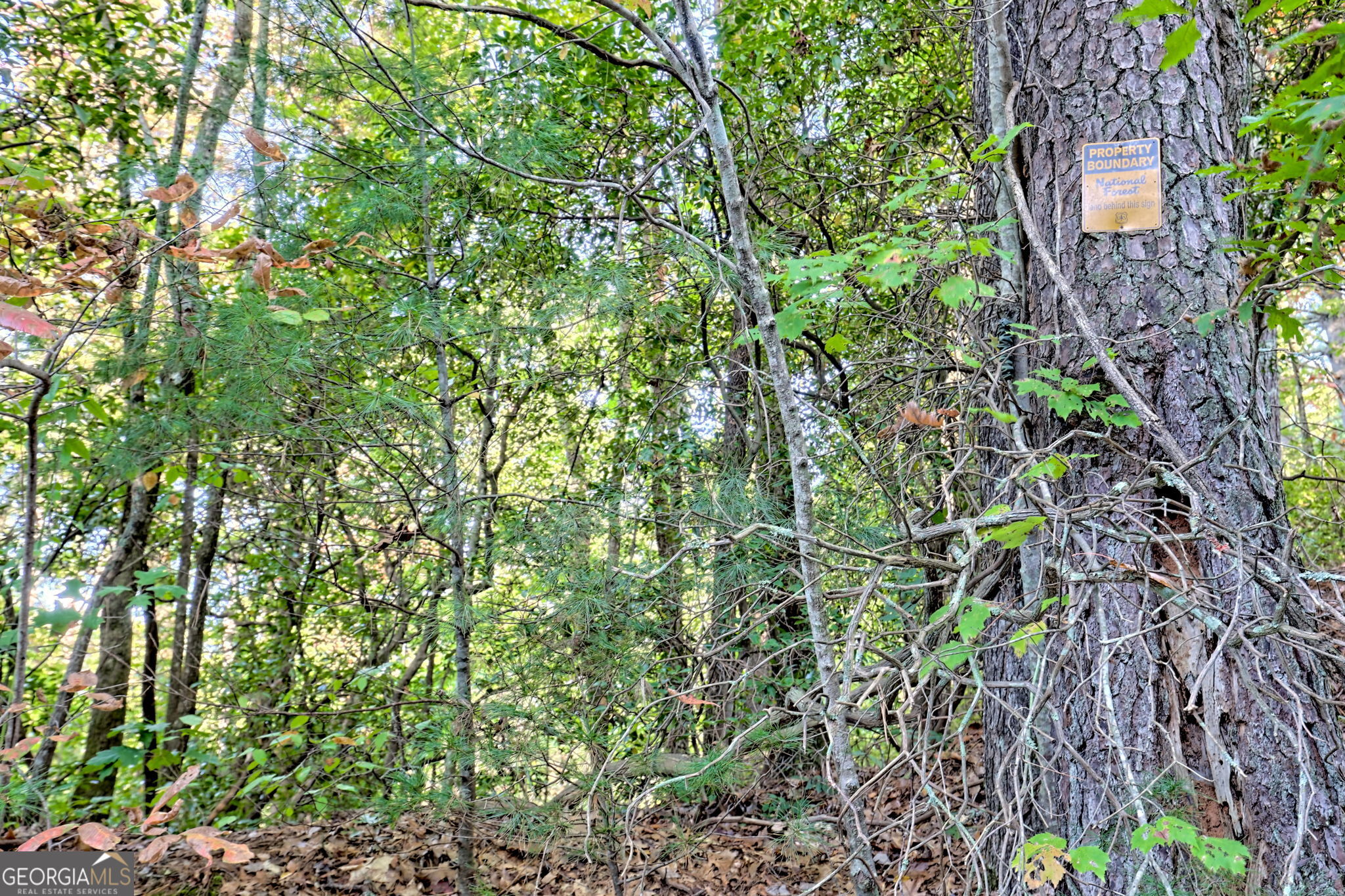 11 Copperhead Lane Property Photo 22