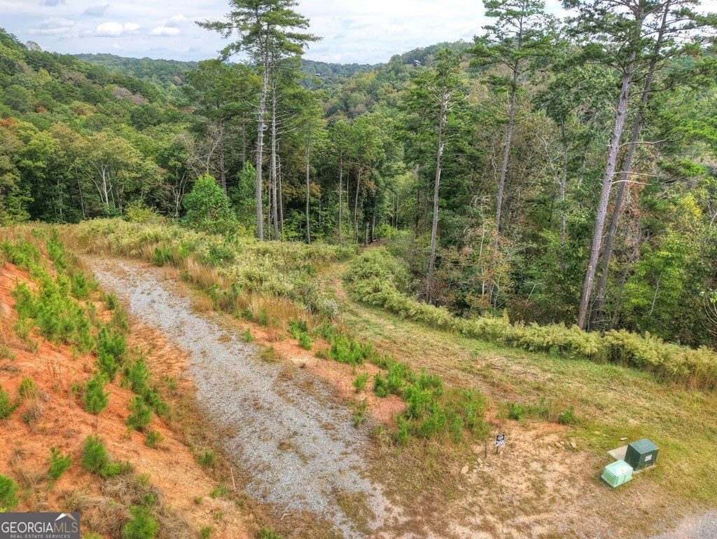 Lt 269 River View Trail Property Photo 2