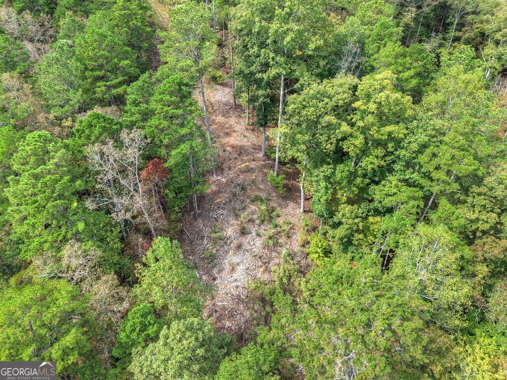 Lt 269 River View Trail Property Photo 4