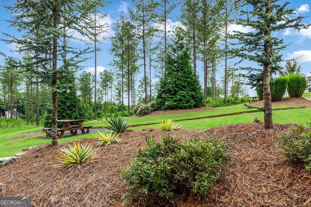 Lt 269 River View Trail Property Photo 30