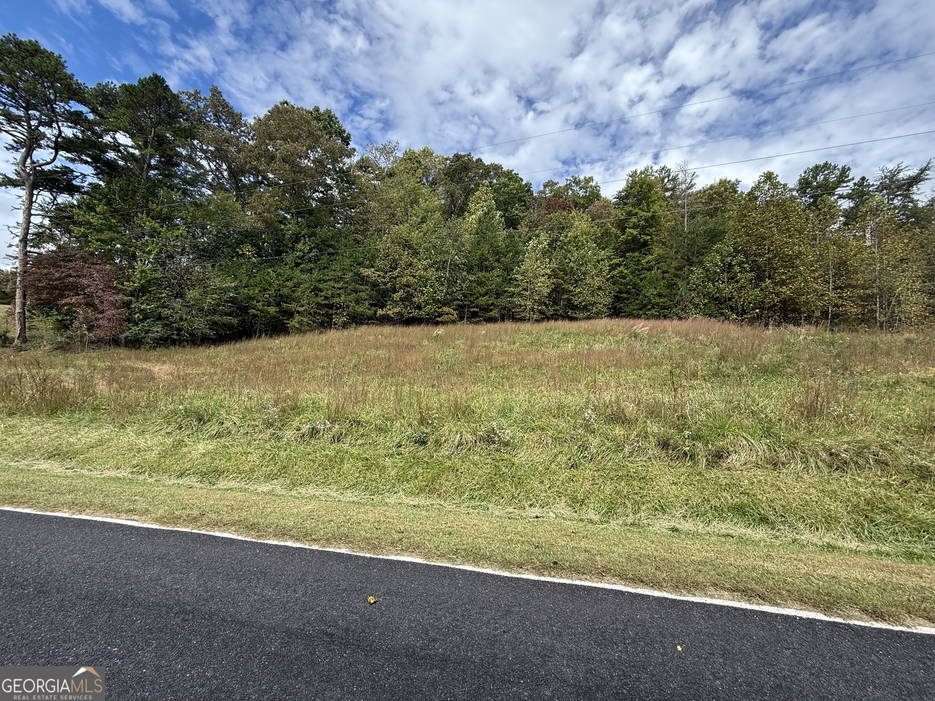 0 Lawrence Smith Road Property Photo 1