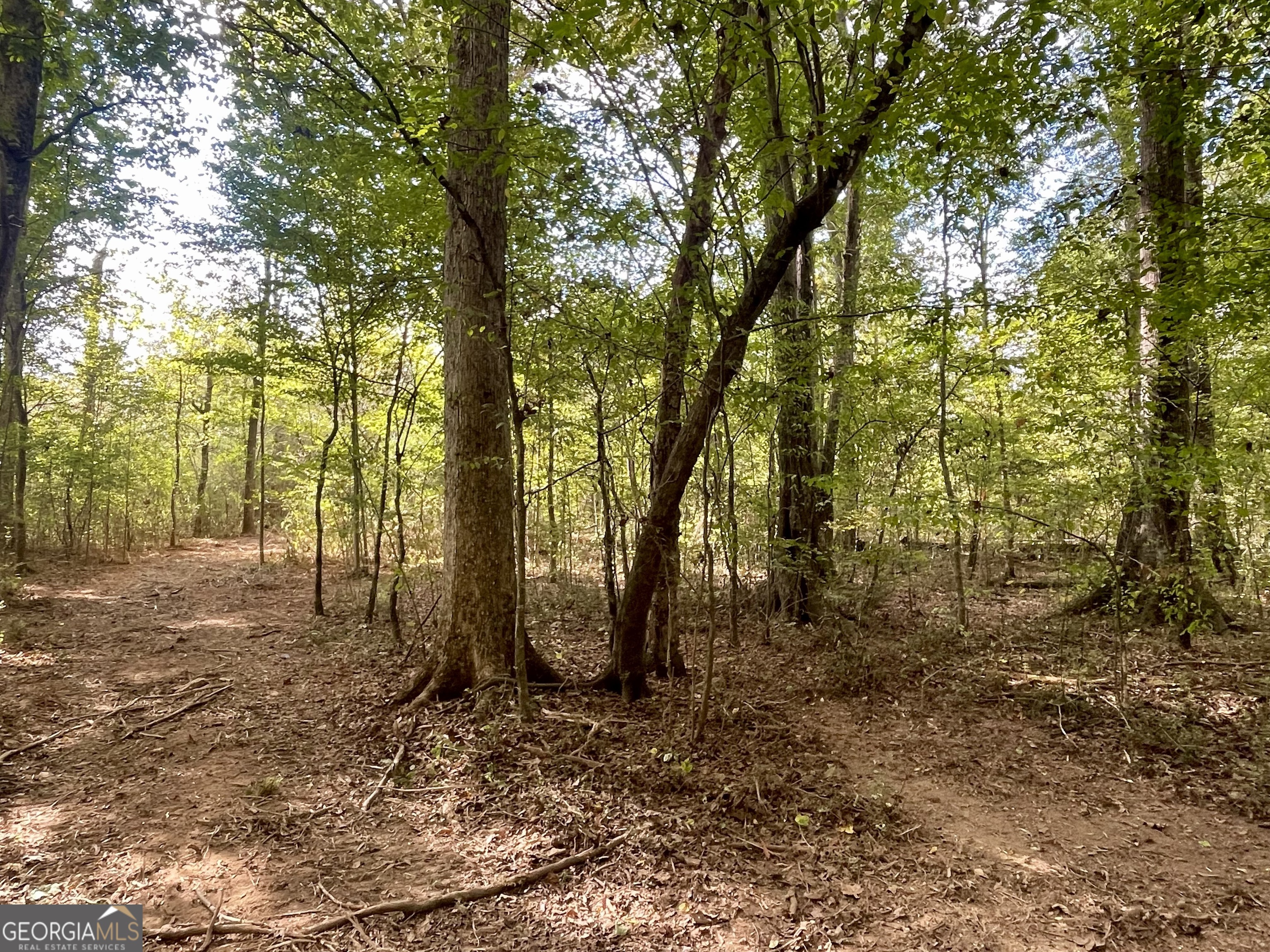 0 Buffalo Creek Road Property Photo 1