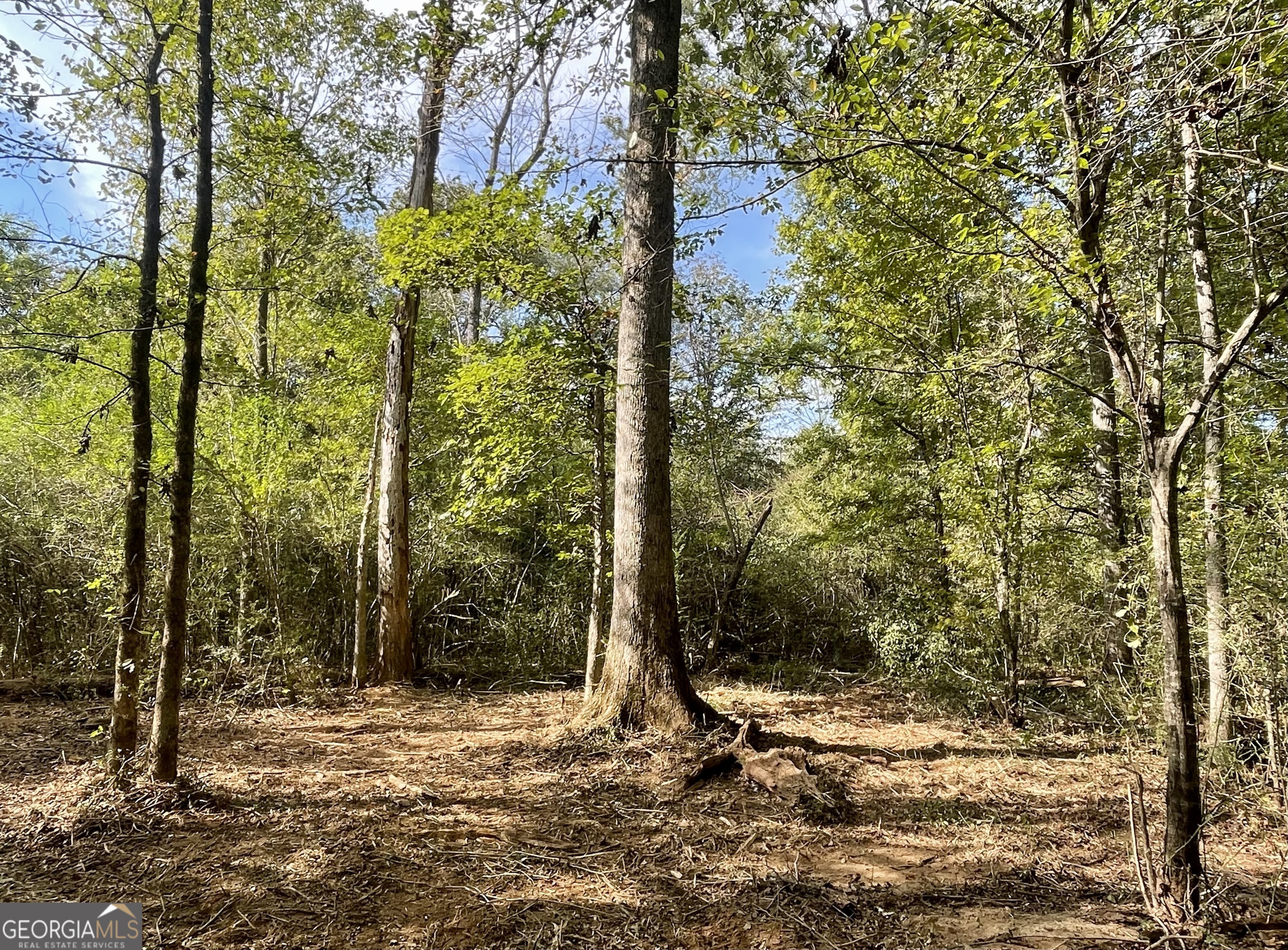 0 Buffalo Creek Road Property Photo 2