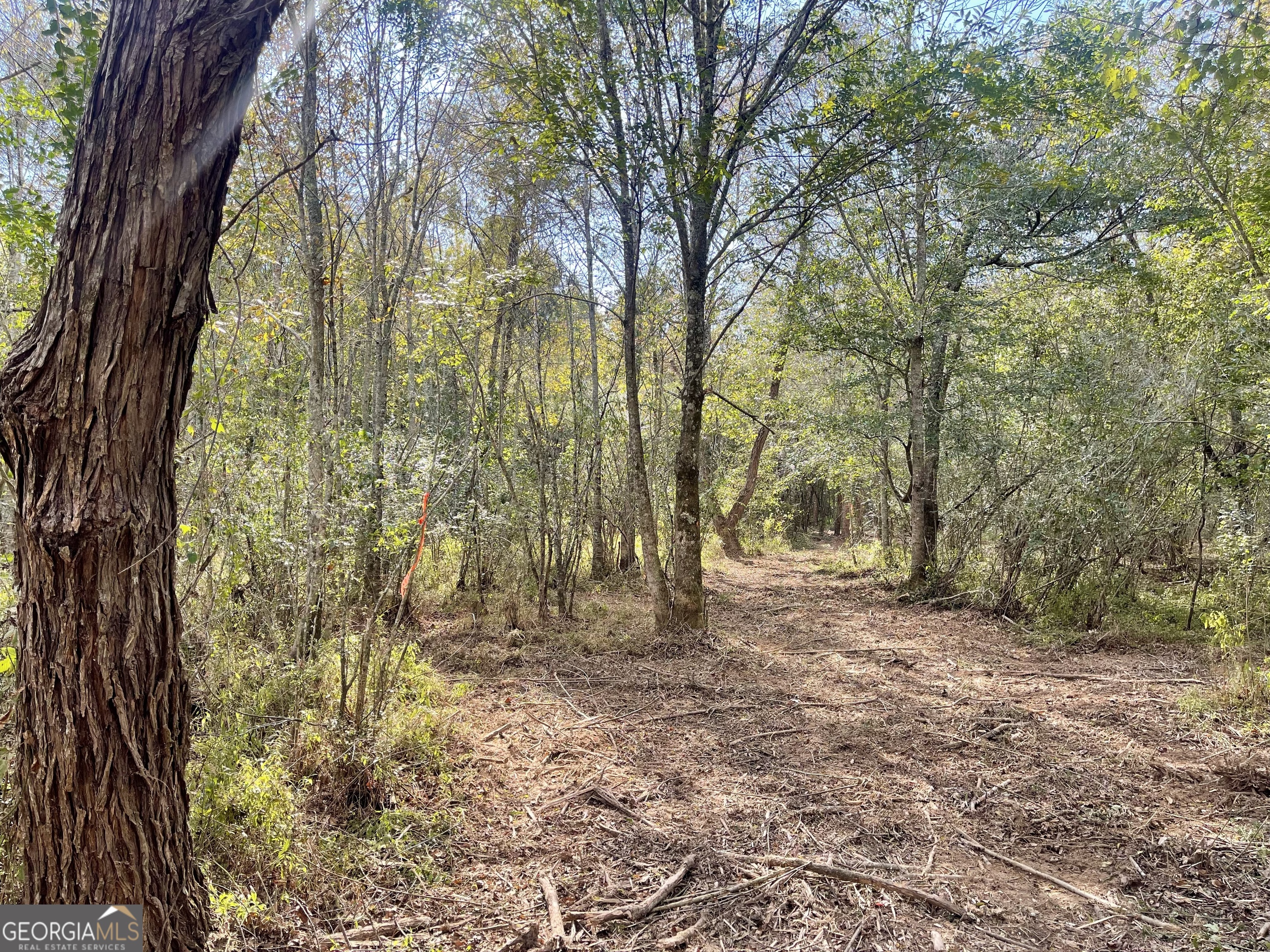 0 Buffalo Creek Road Property Photo 4