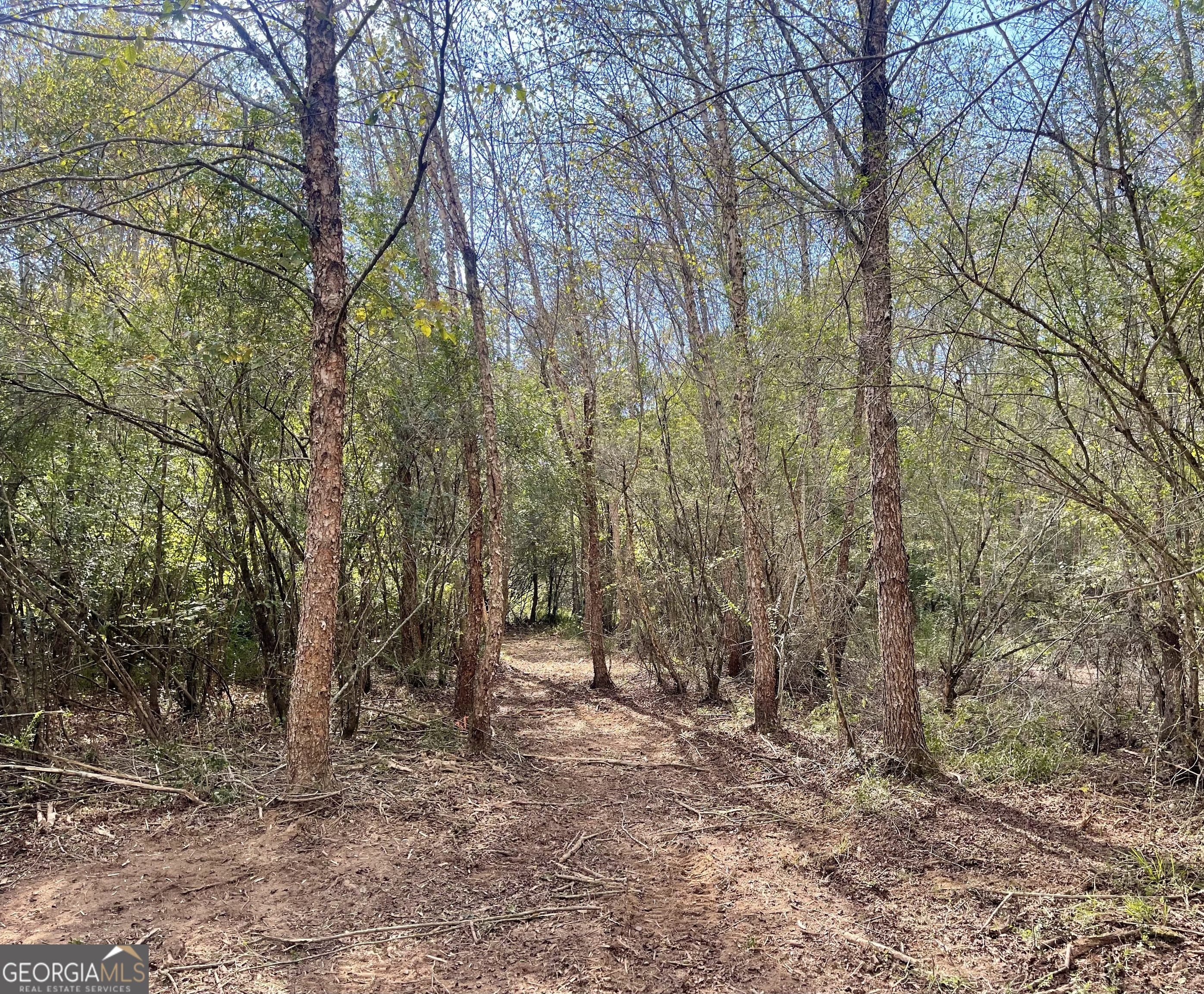 0 Buffalo Creek Road Property Photo 5